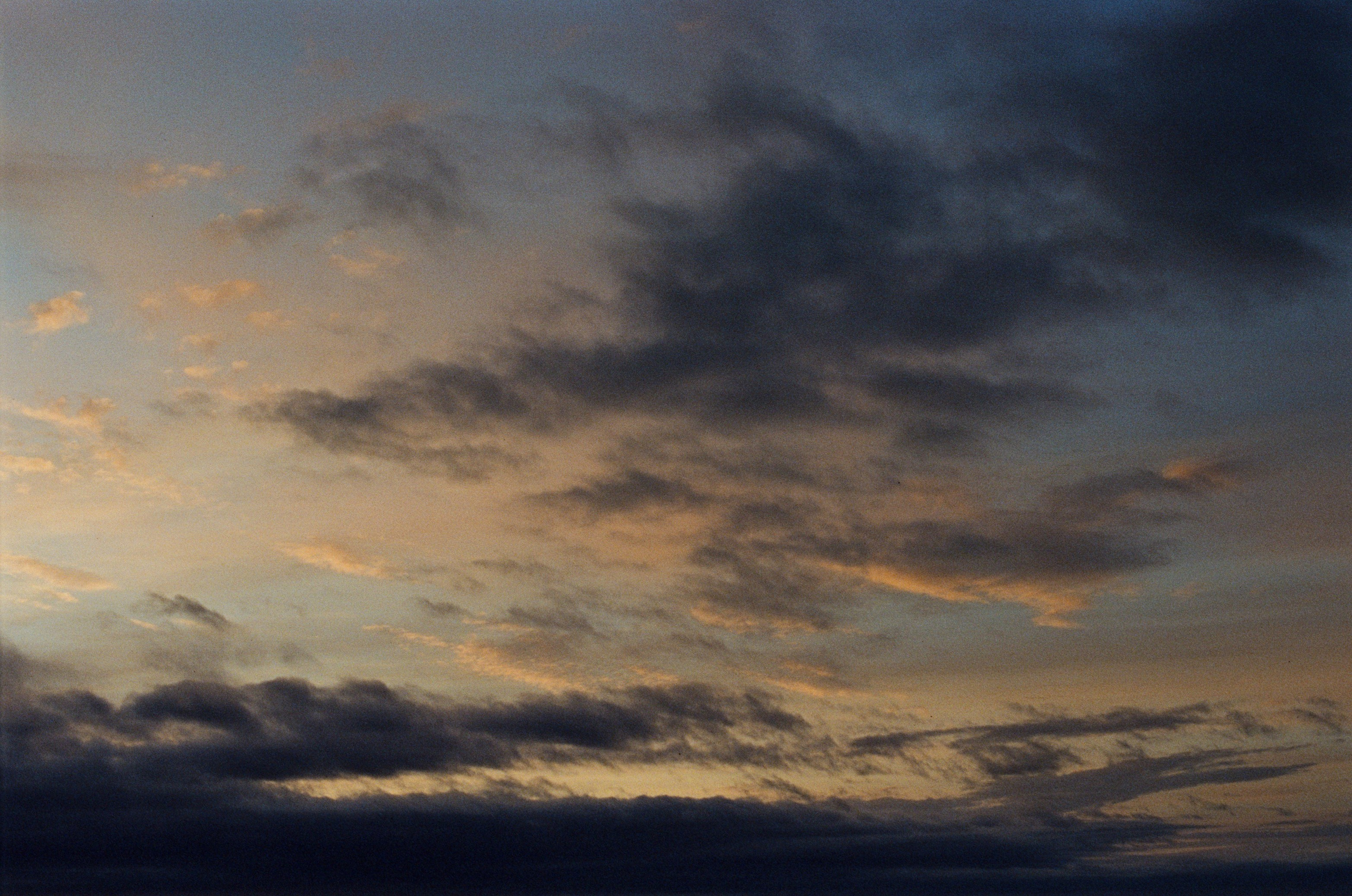 Vor i vaglaskogi // iceland, 724. EVER EXPOSED