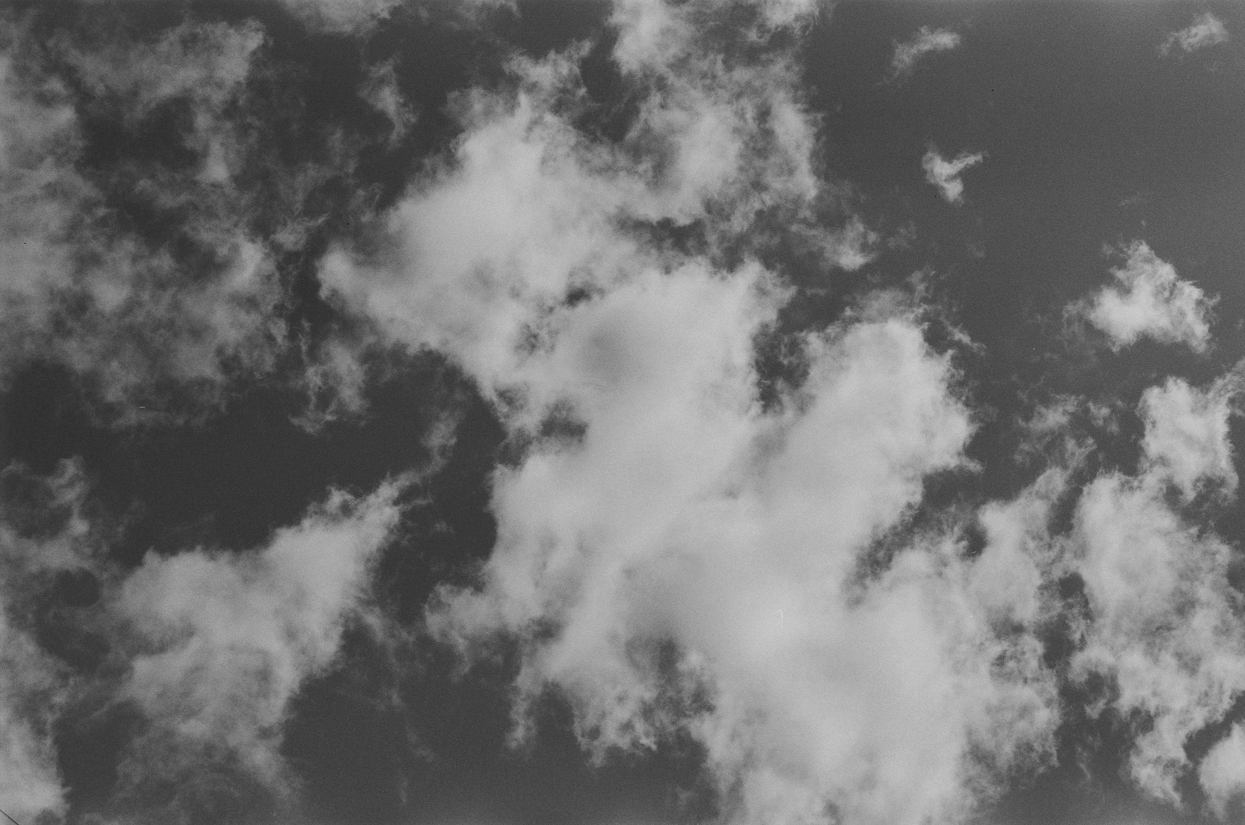 Black dog petersburg // st.-petersburg. EVER EXPOSED