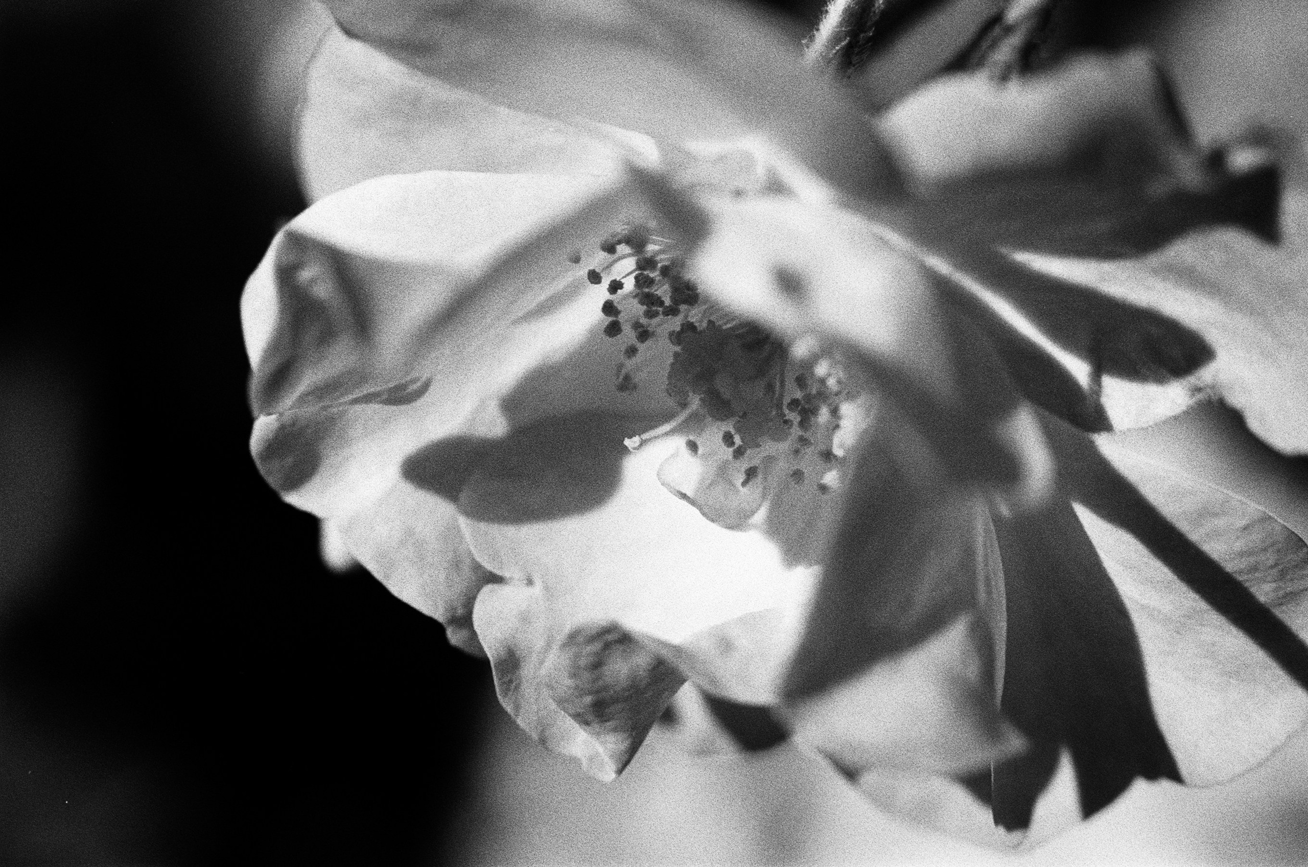 Oblomki chuvstv // ukraine, crimea VII. EVER EXPOSED