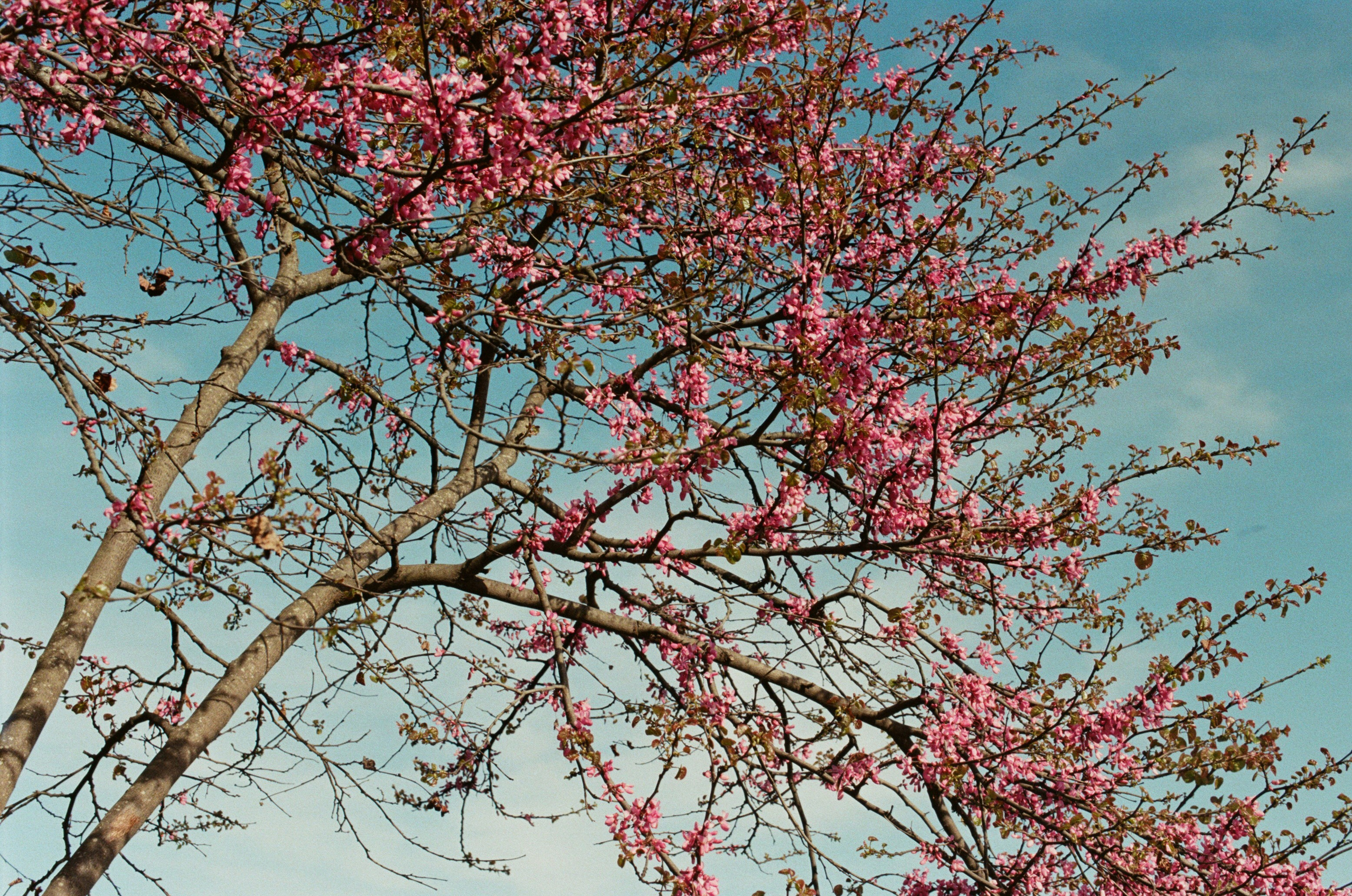 This time // ukraine, crimea V. EVER EXPOSED