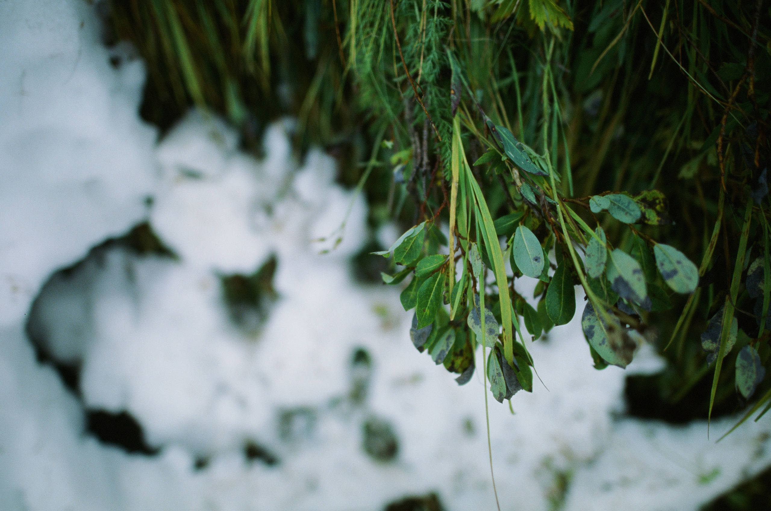 Wasted // italy, dolomites III. EVER EXPOSED