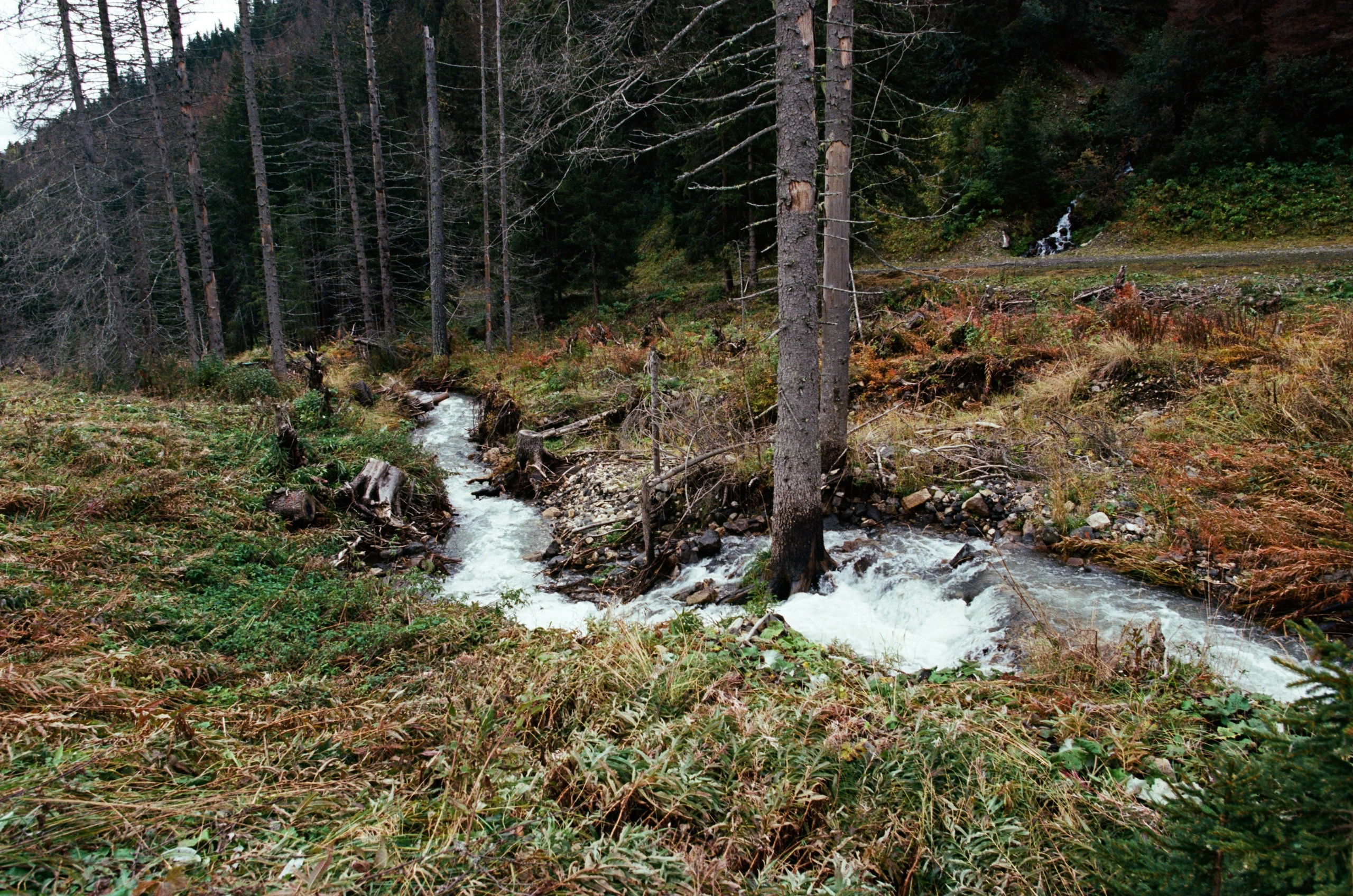 Are you coming // italy, dolomites II. EVER EXPOSED