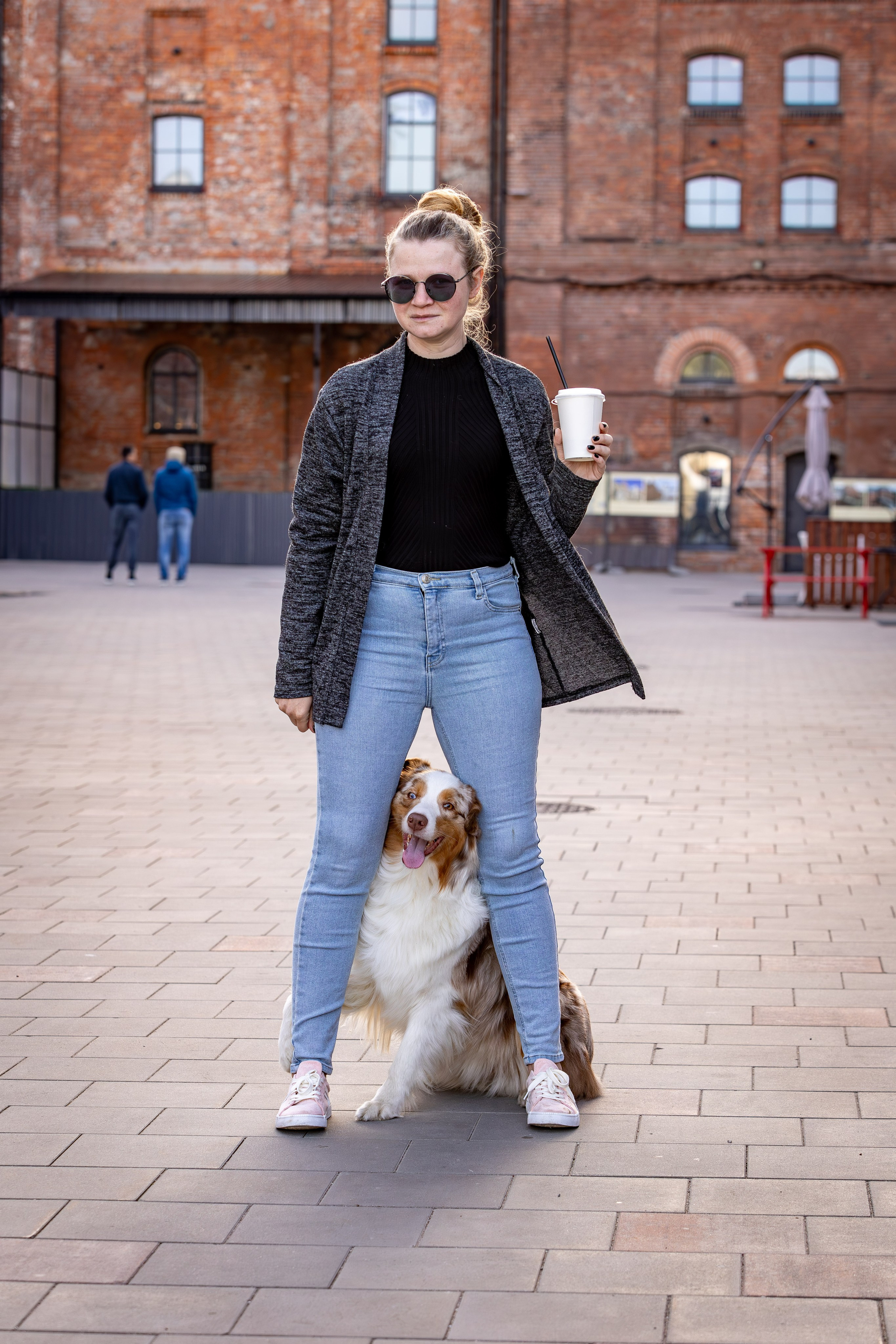 Полли, Австралийская Овчарка. Ирина Голомб|Фотограф-анималист в  Сочи и Калининграде