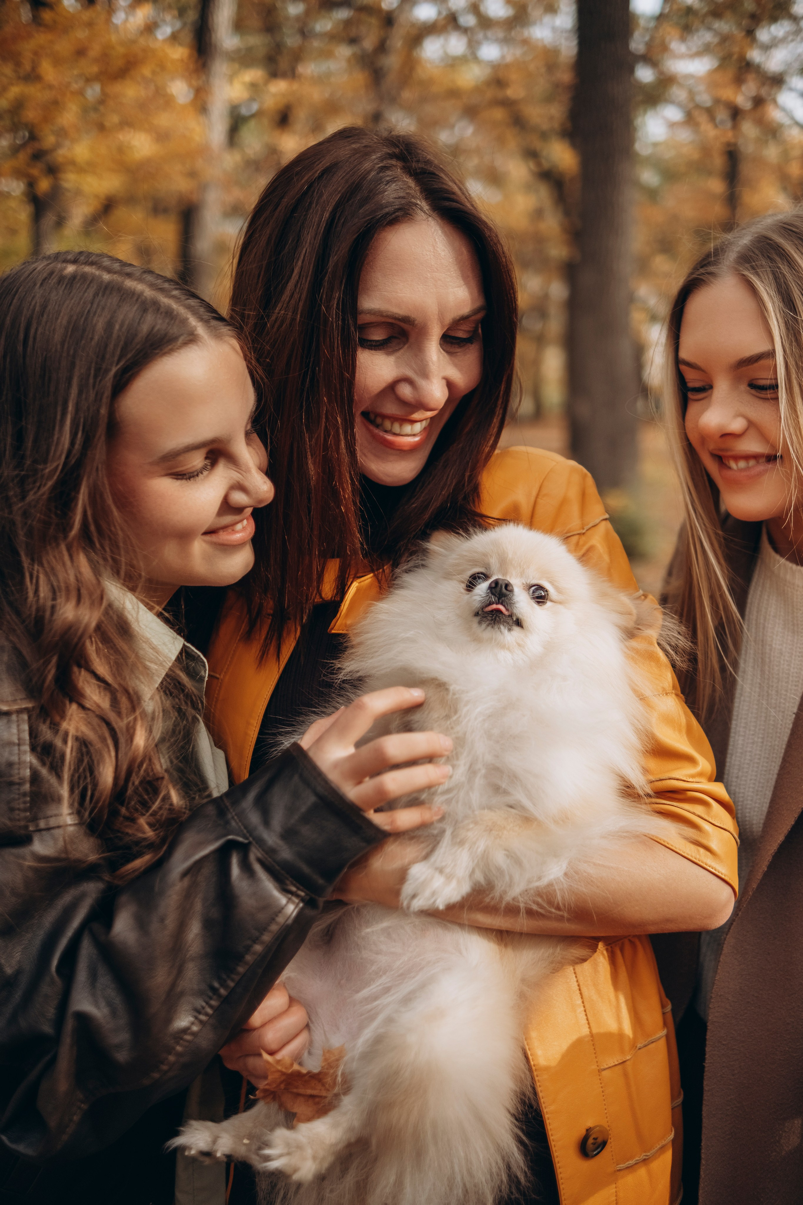 Загородный парк, осень. СЕМЕЙНЫЙ ФОТОГРАФ ЕЛЕНА МЕДВЕДЕВА САМАРА