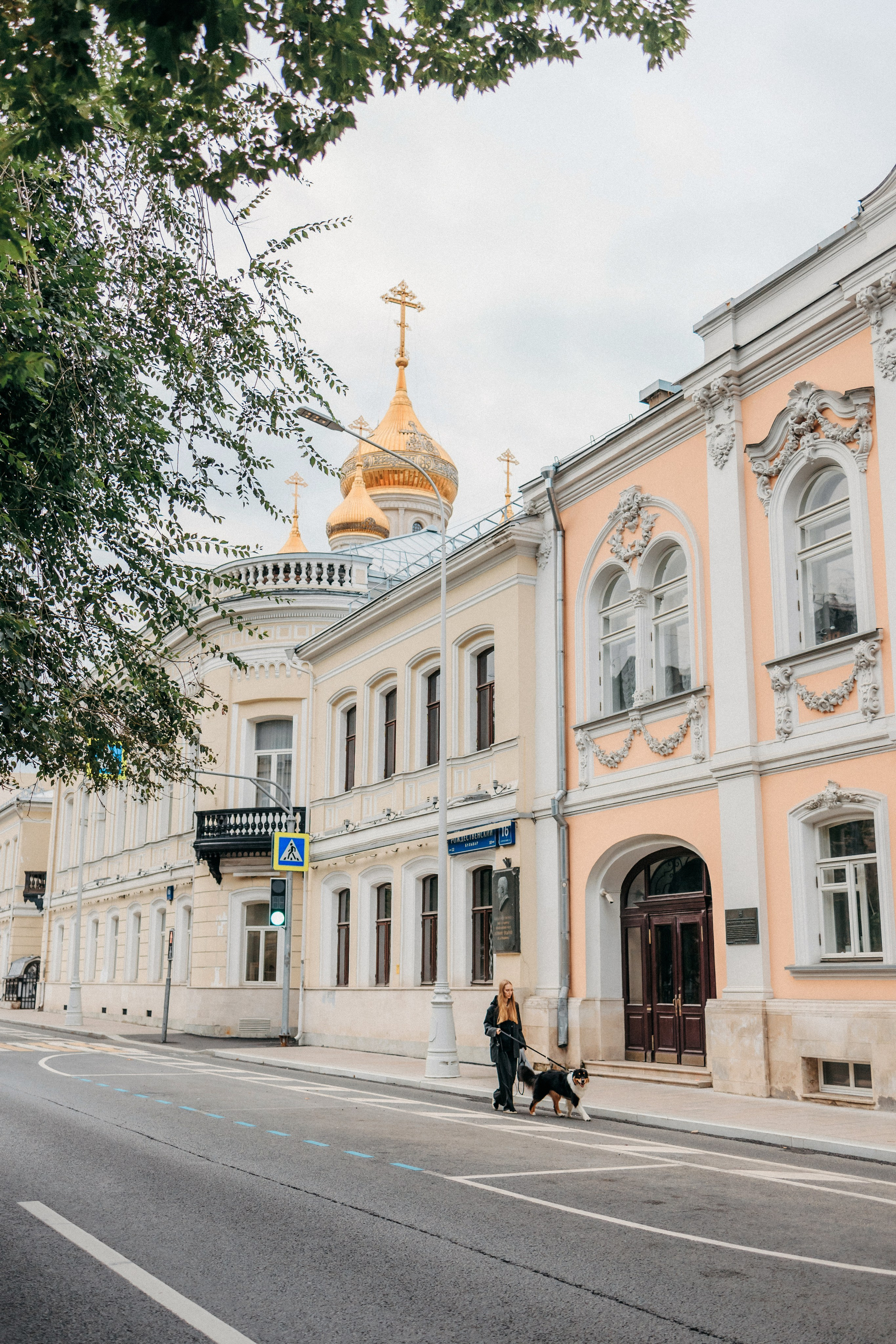 Лена и Рэй. Фотограф-анималист Елена Радченко, Москва