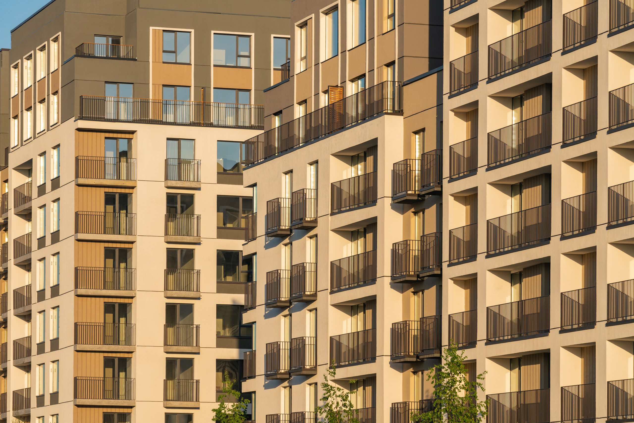 На Академическом | Брусника. Архитектурный фотограф Кирилл Цыбенко. Работаю в Москве, по всей России и Миру