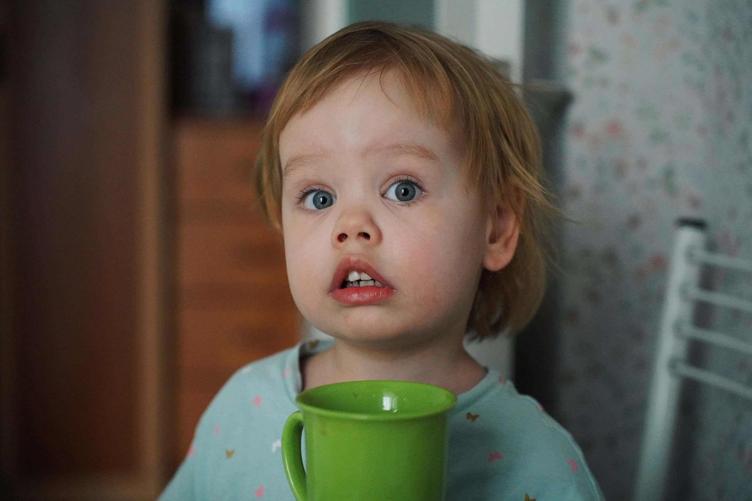 LUNCH ALICE. Фотограф и визуальный художник в Туле / Николай Рейзвих