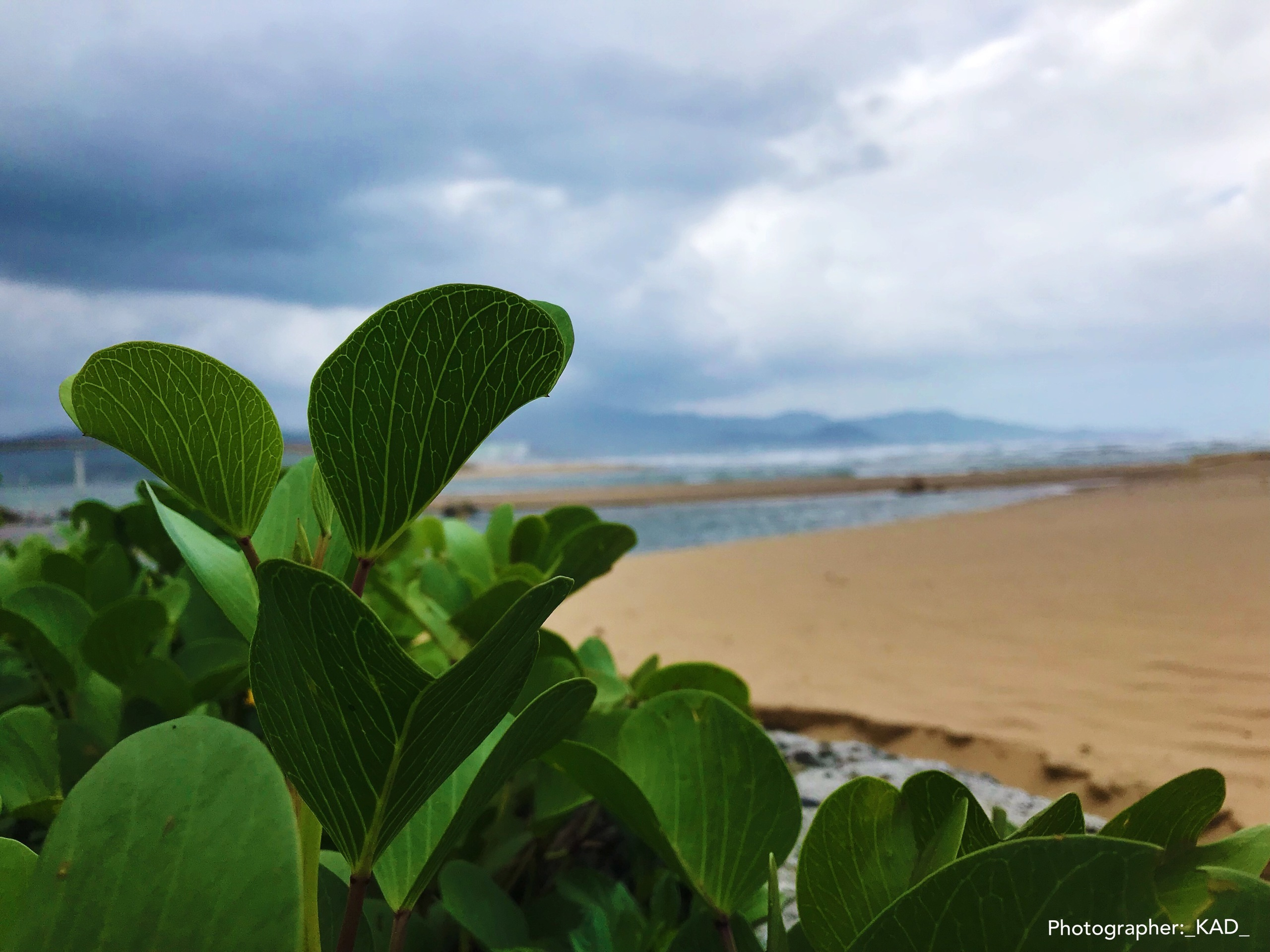 Пейзажи и природа. Photographer K.A.D