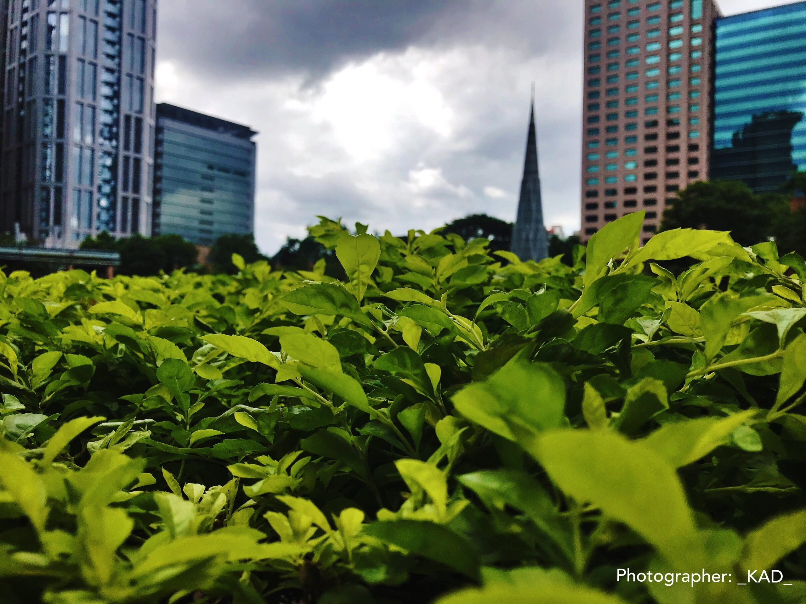 Пейзажи и природа. Photographer K.A.D