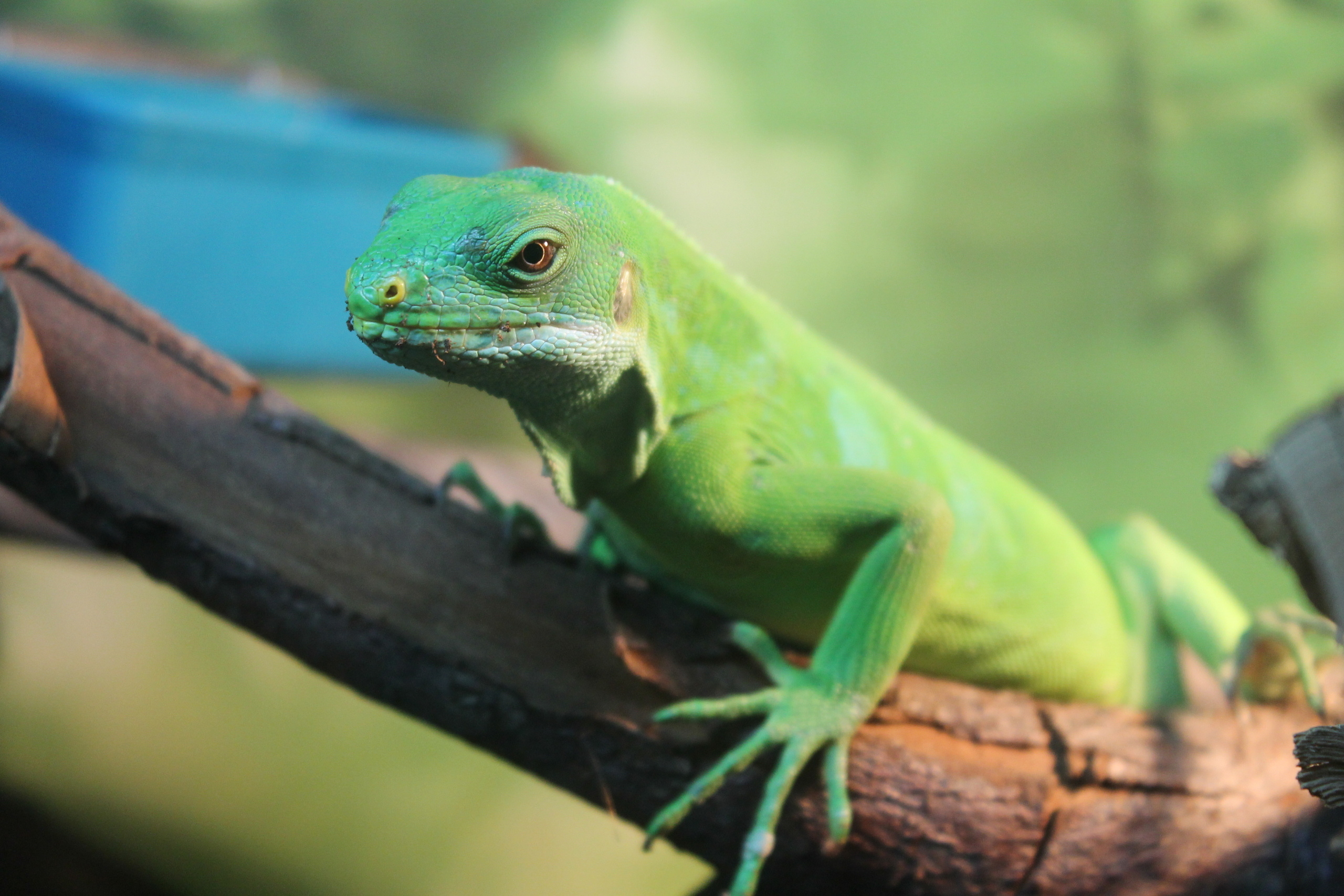 Мир животных. Photographer K.A.D