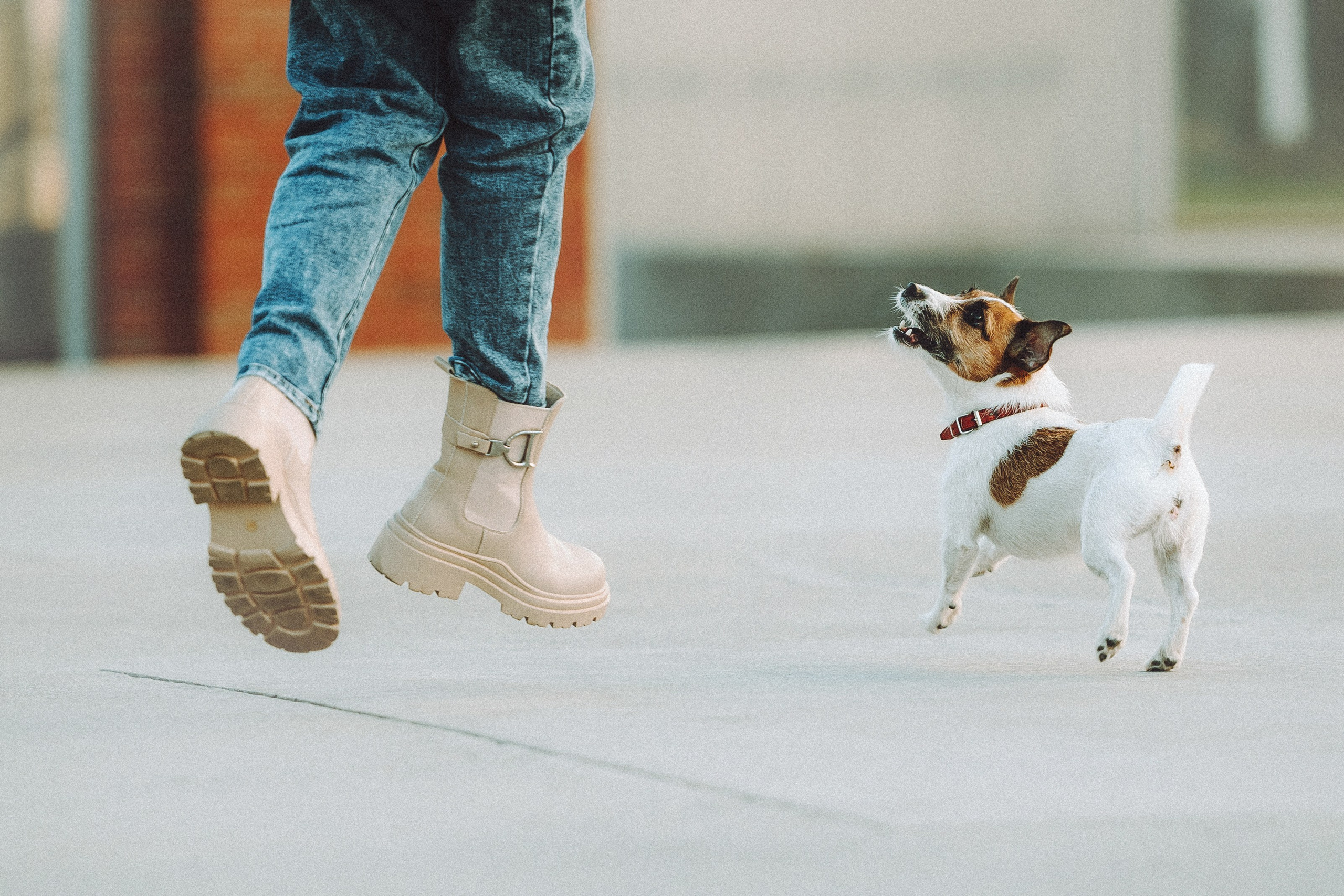 Лера и Рада