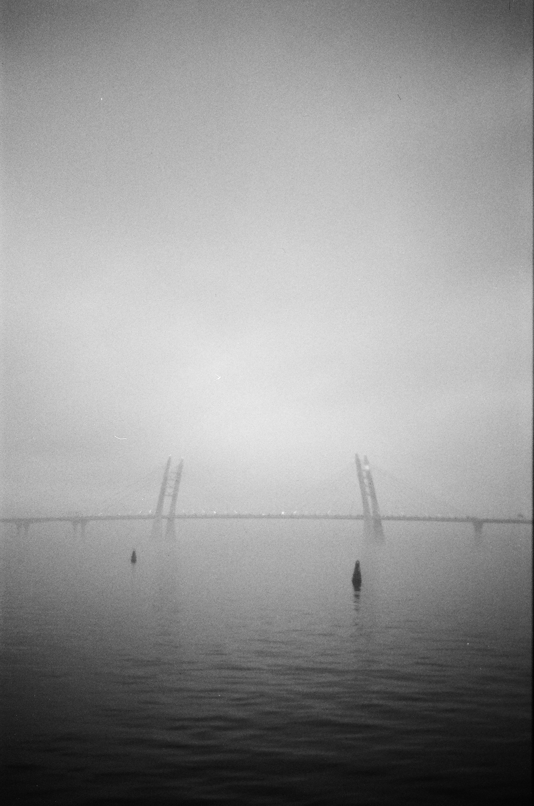 Dispersed Presence. Film and another stuff