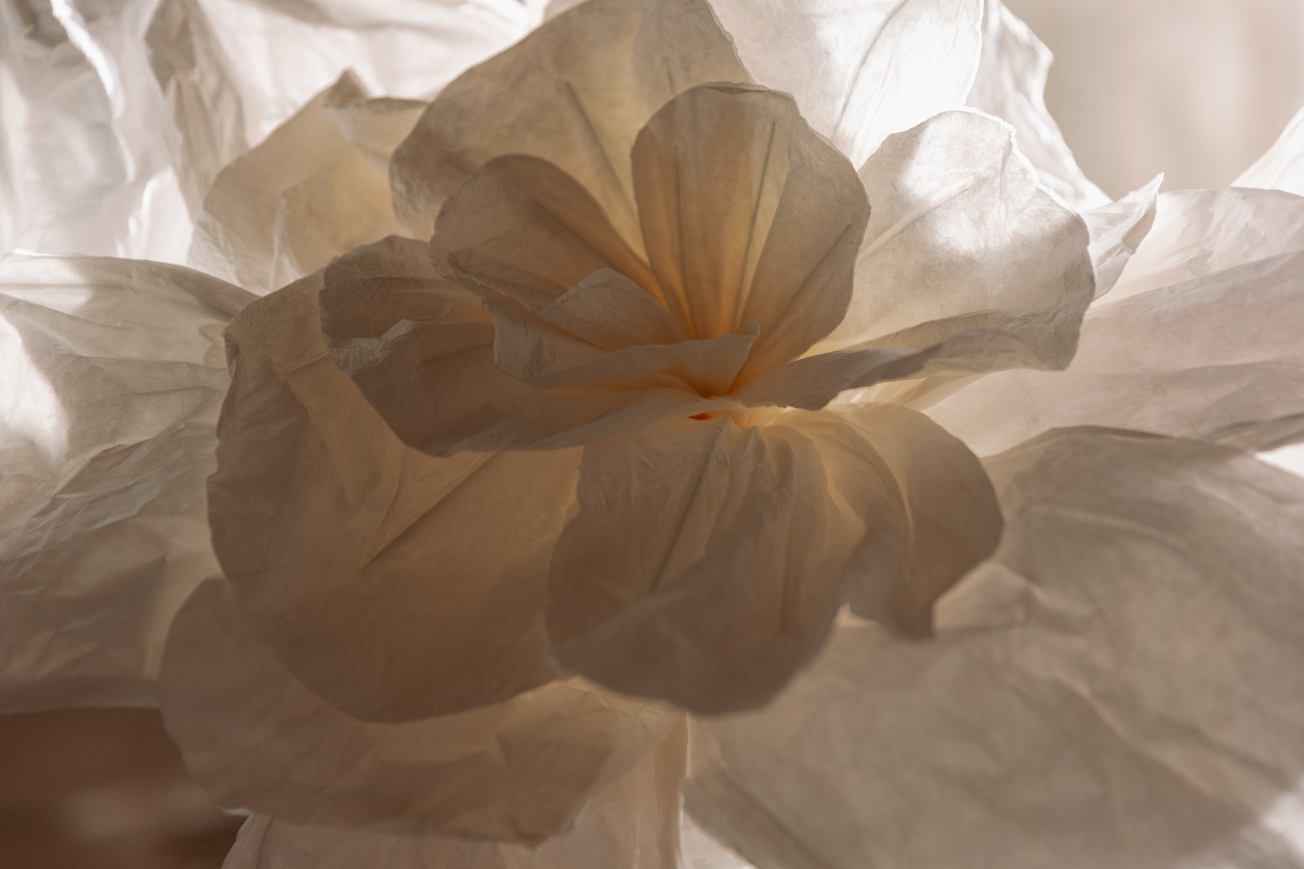 Андрей и Ульяна