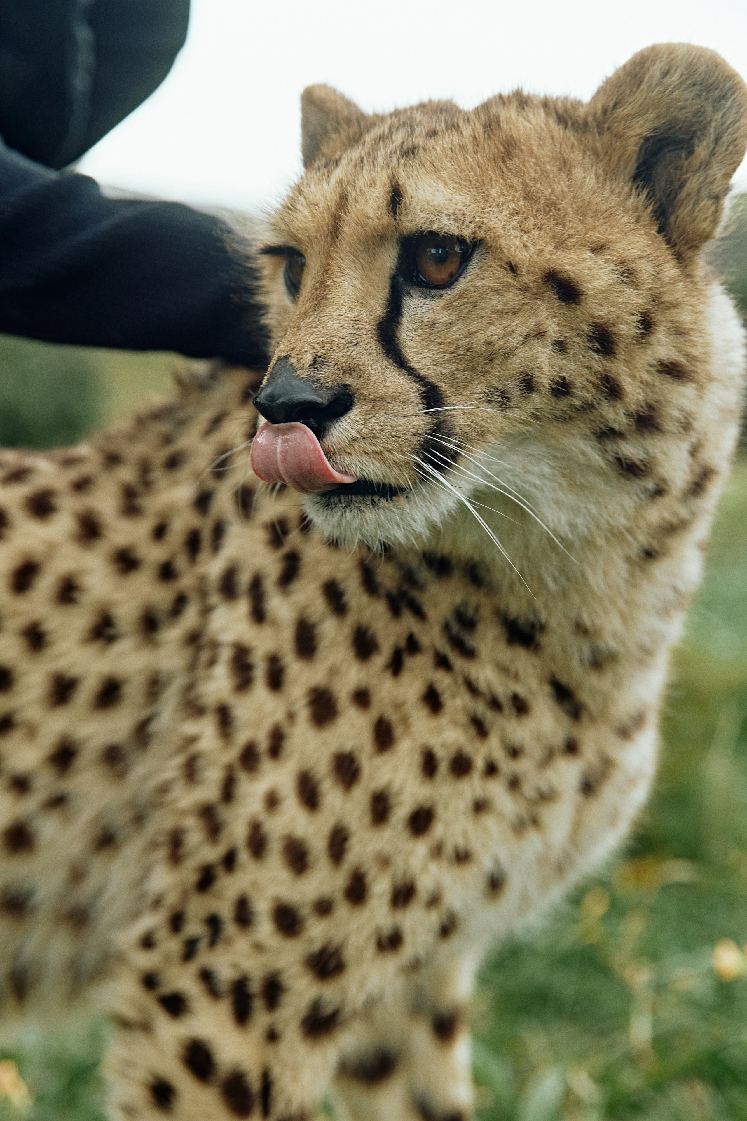 SOUTH AFRICA EMBA 38. Дмитрий Мазуркевич: Профессиональный Репортажный Фотограф