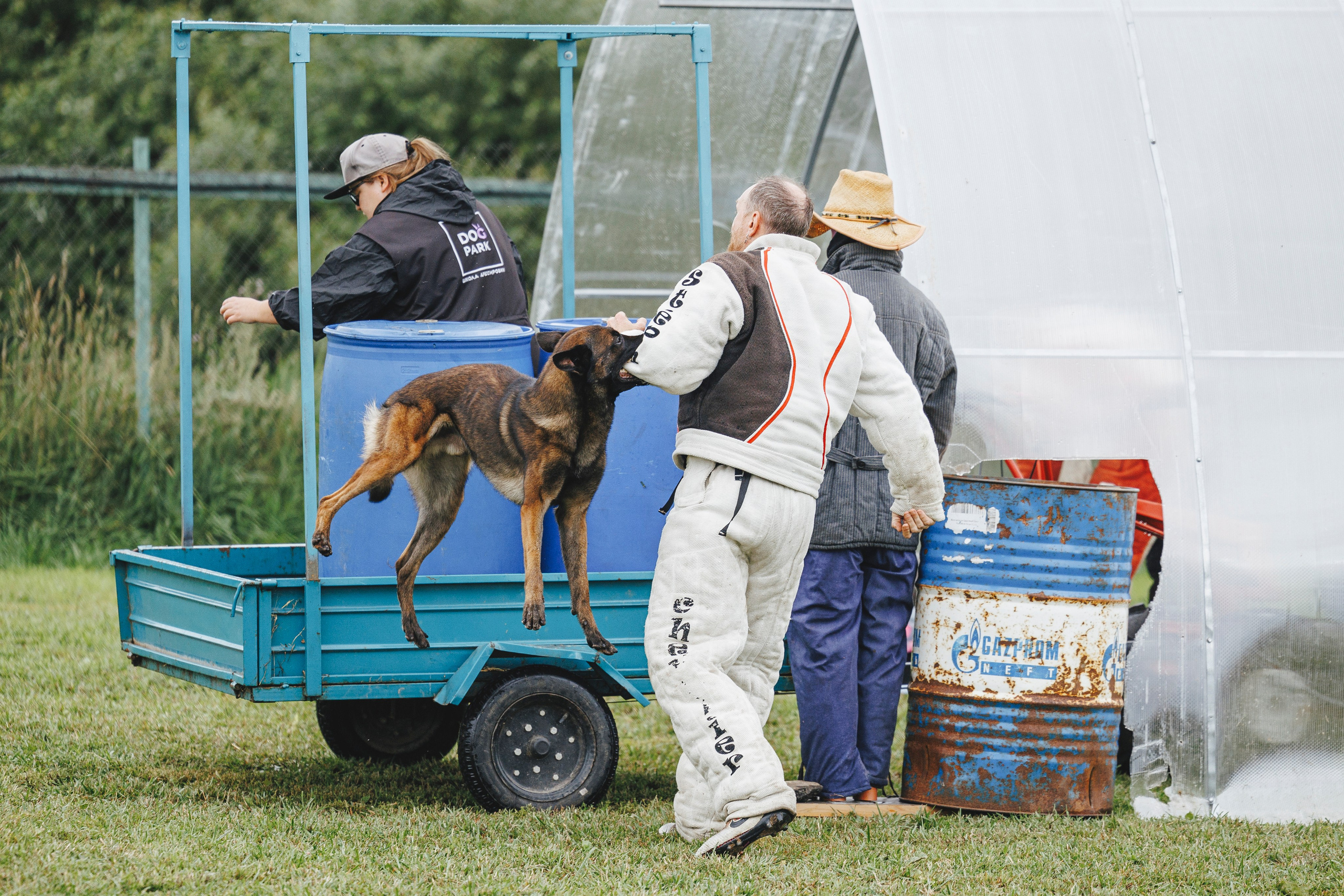 08.08.25-10.08.25 ЧР по мондьорингу г. Вологда. Фотограф-анималист Анна Маринич