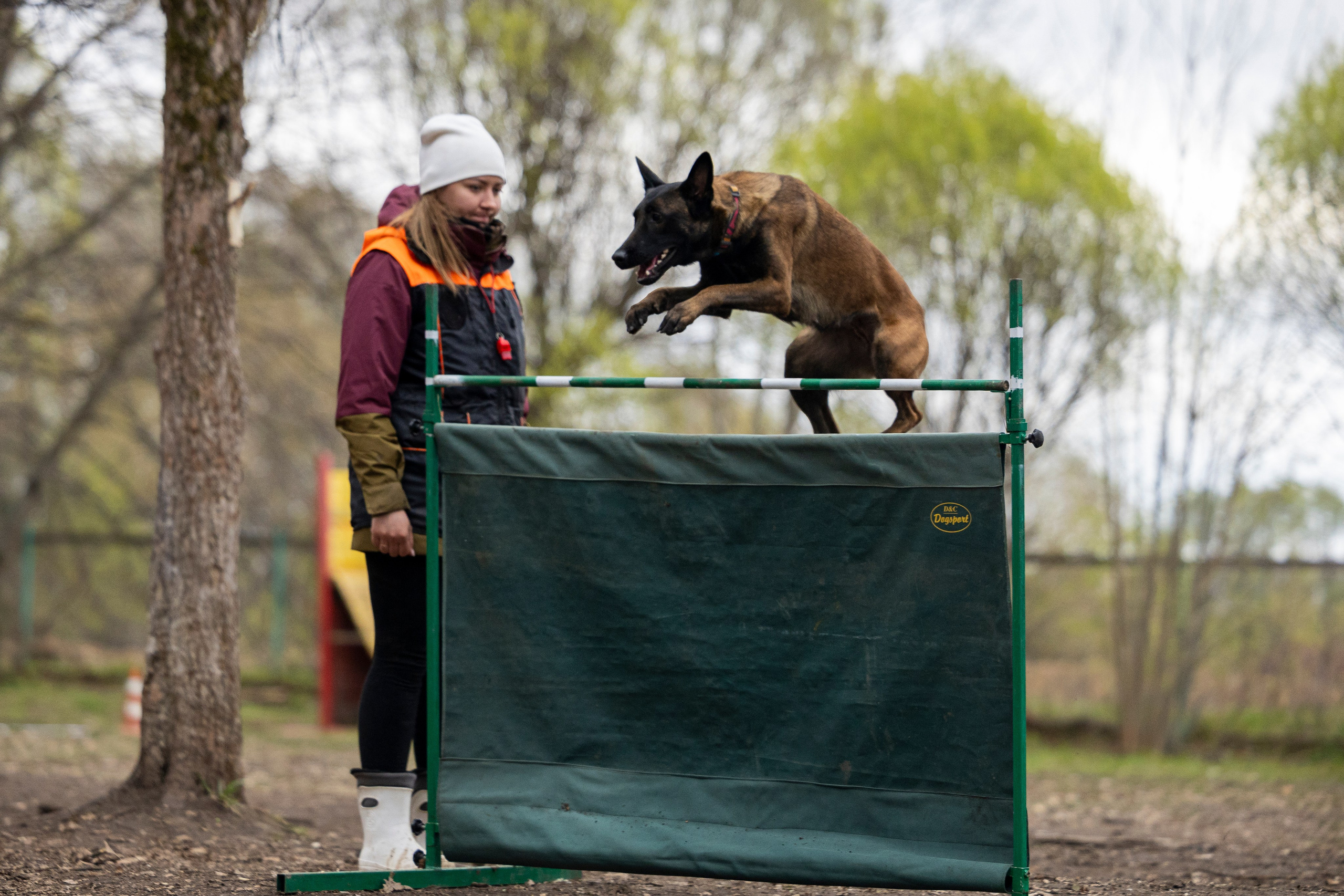 Квалификационные состязания по мондьорингу г. Вологда 11.05.24. Фотограф-анималист Анна Маринич