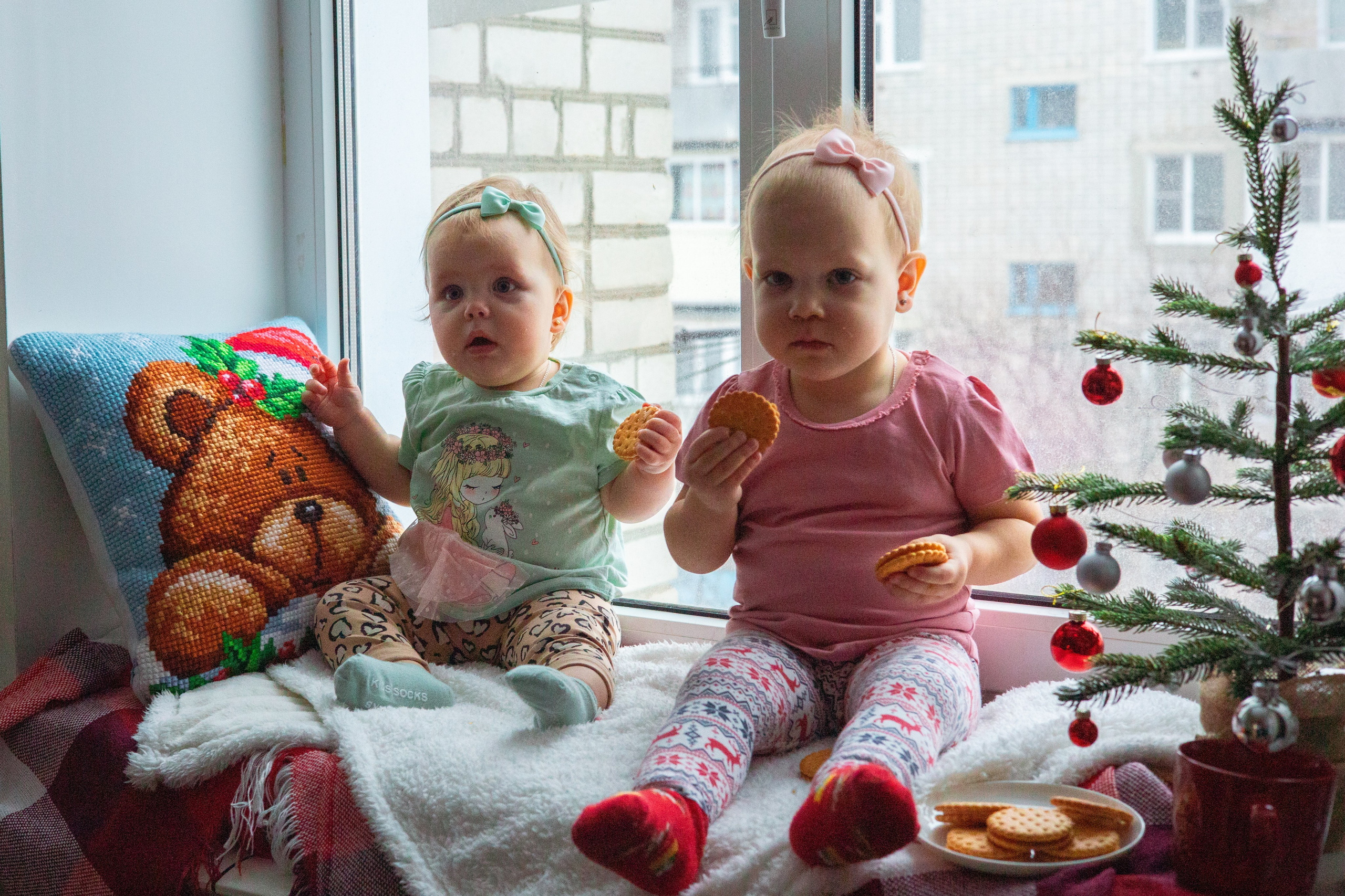 Новогоднее окно. Семейный и детский фотограф в Михайловке Татьяна Лестьева