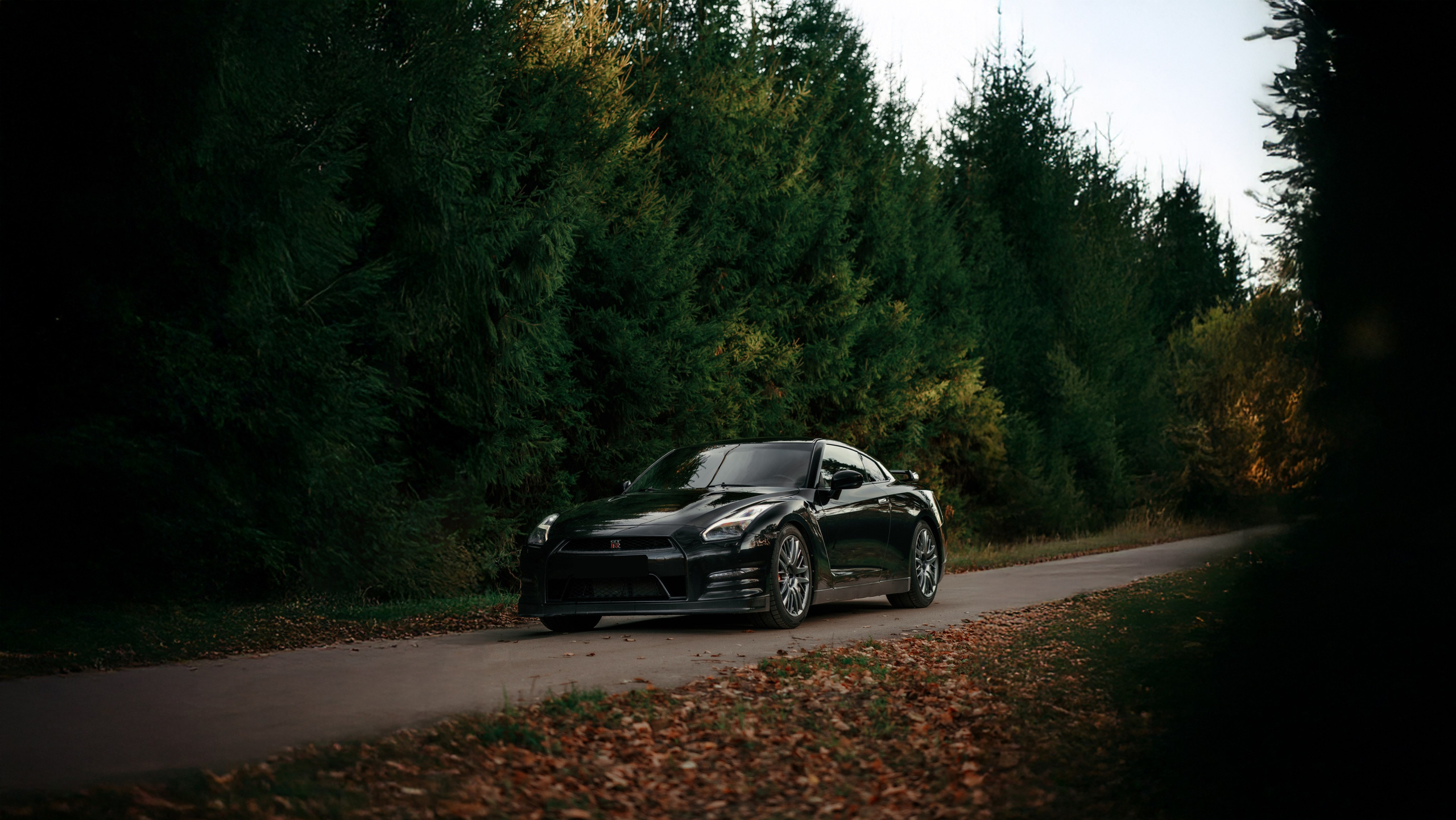 Nissan GT-R35 autumn vibe. DeLorein