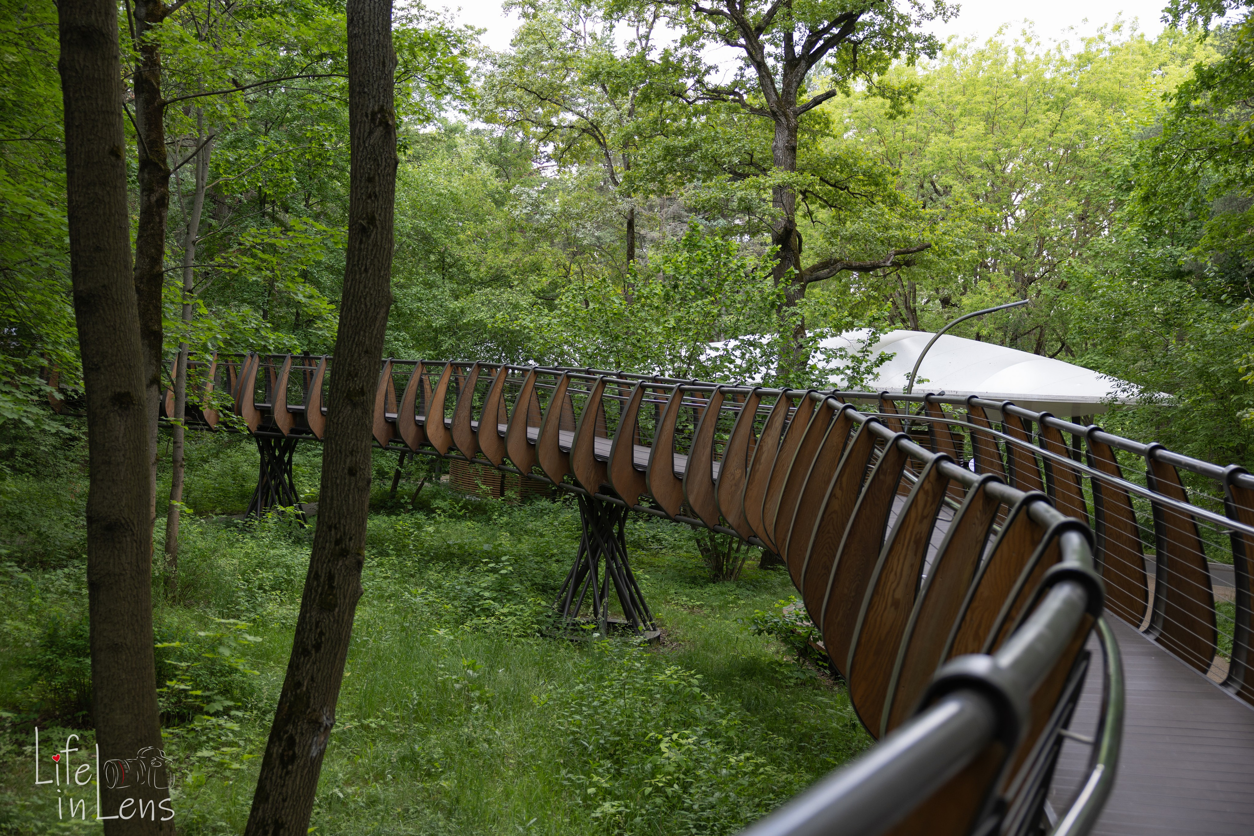 ВДНХ. День России. Фотограф, получающий удовольствие от своей работы