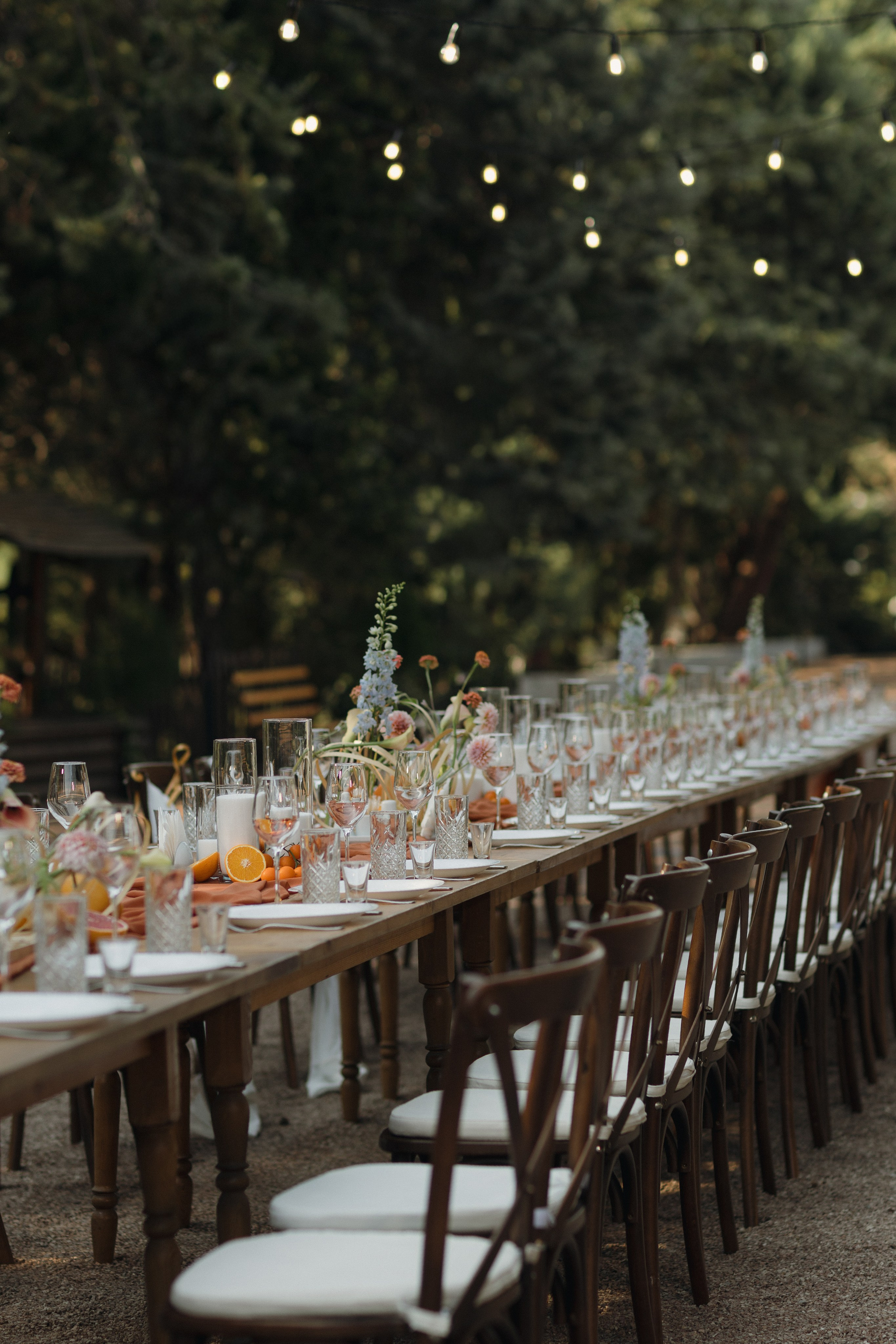 Диана и Никита. Огранизация свадьбы в Крыму