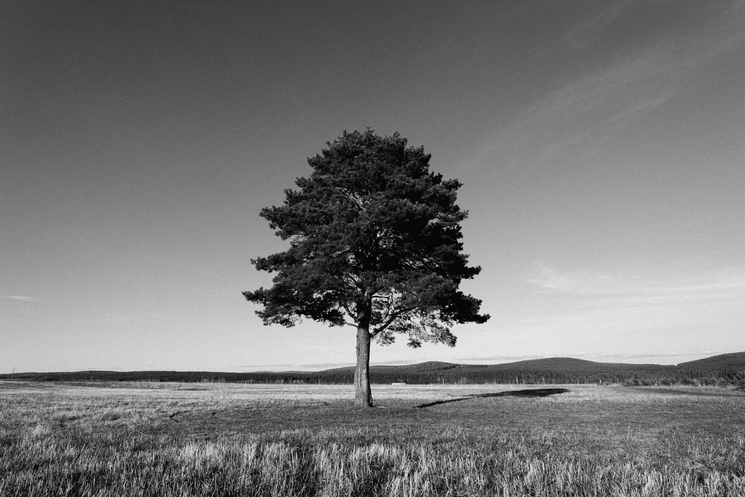 Услуги. Ирина Мочалова Фотограф Первоуральск/Екатеринбург