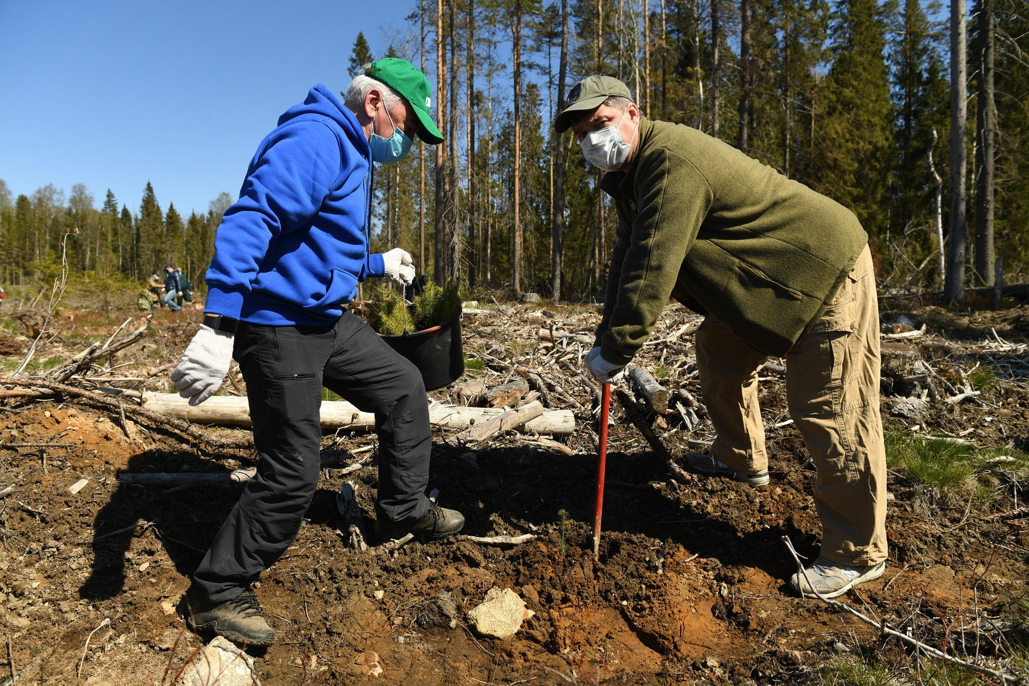 Высадка леса. Документальный фотограф Сергей Вдовин