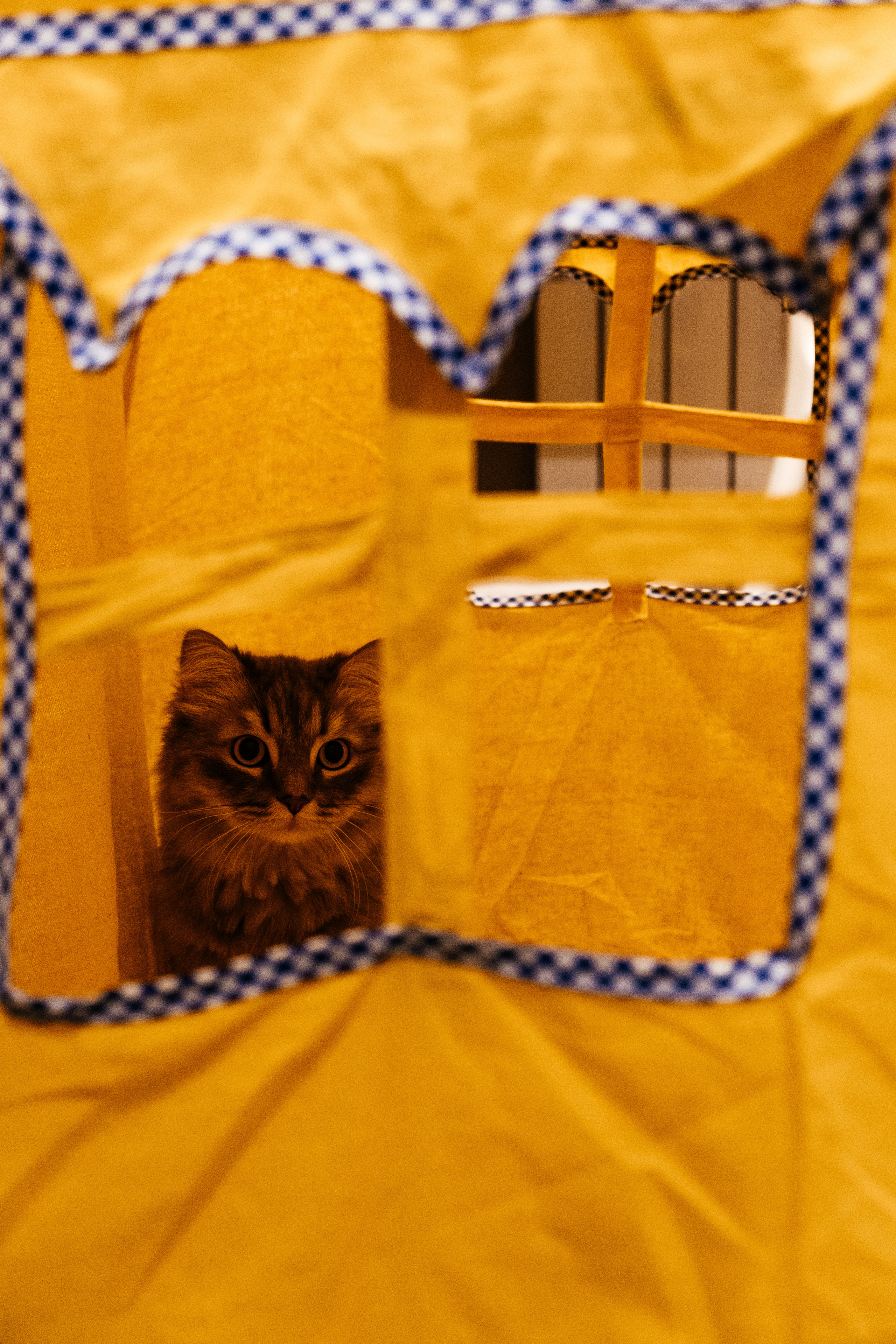 День рождения Мирона. Не смотри на других, смотри внутрь себя