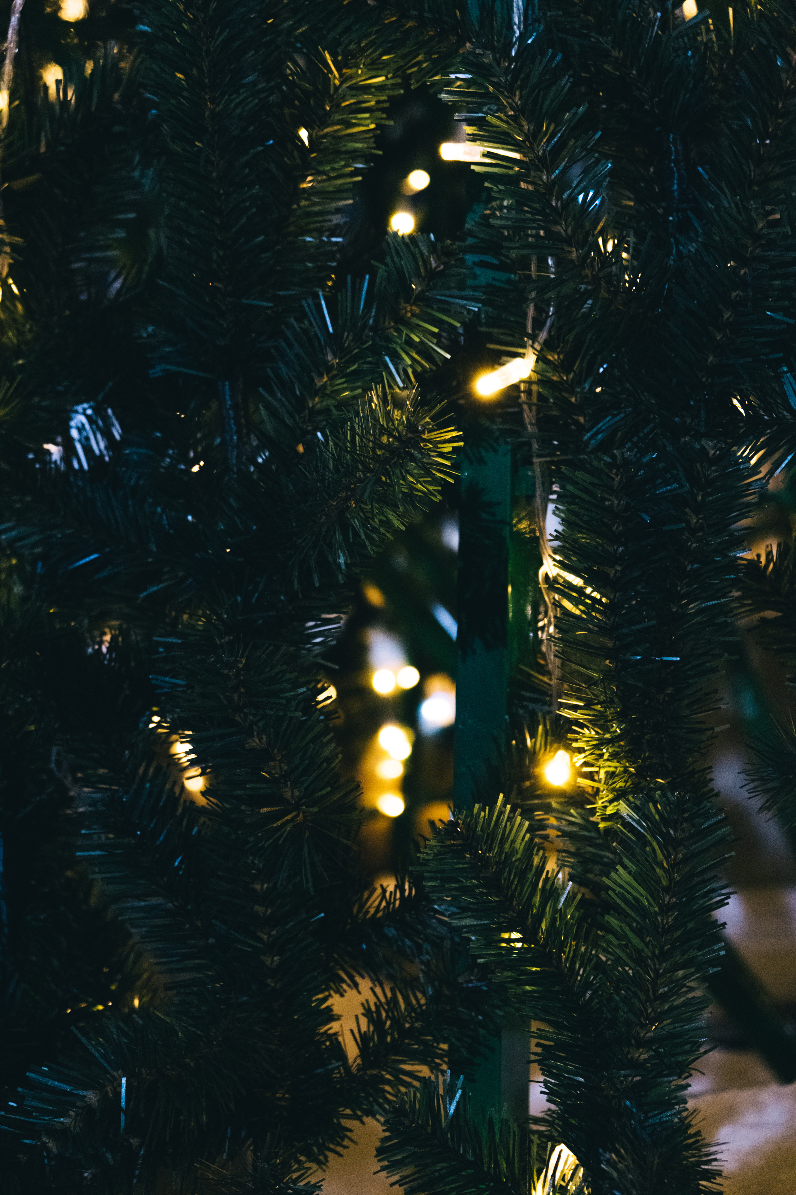 Каток. Не смотри на других, смотри внутрь себя