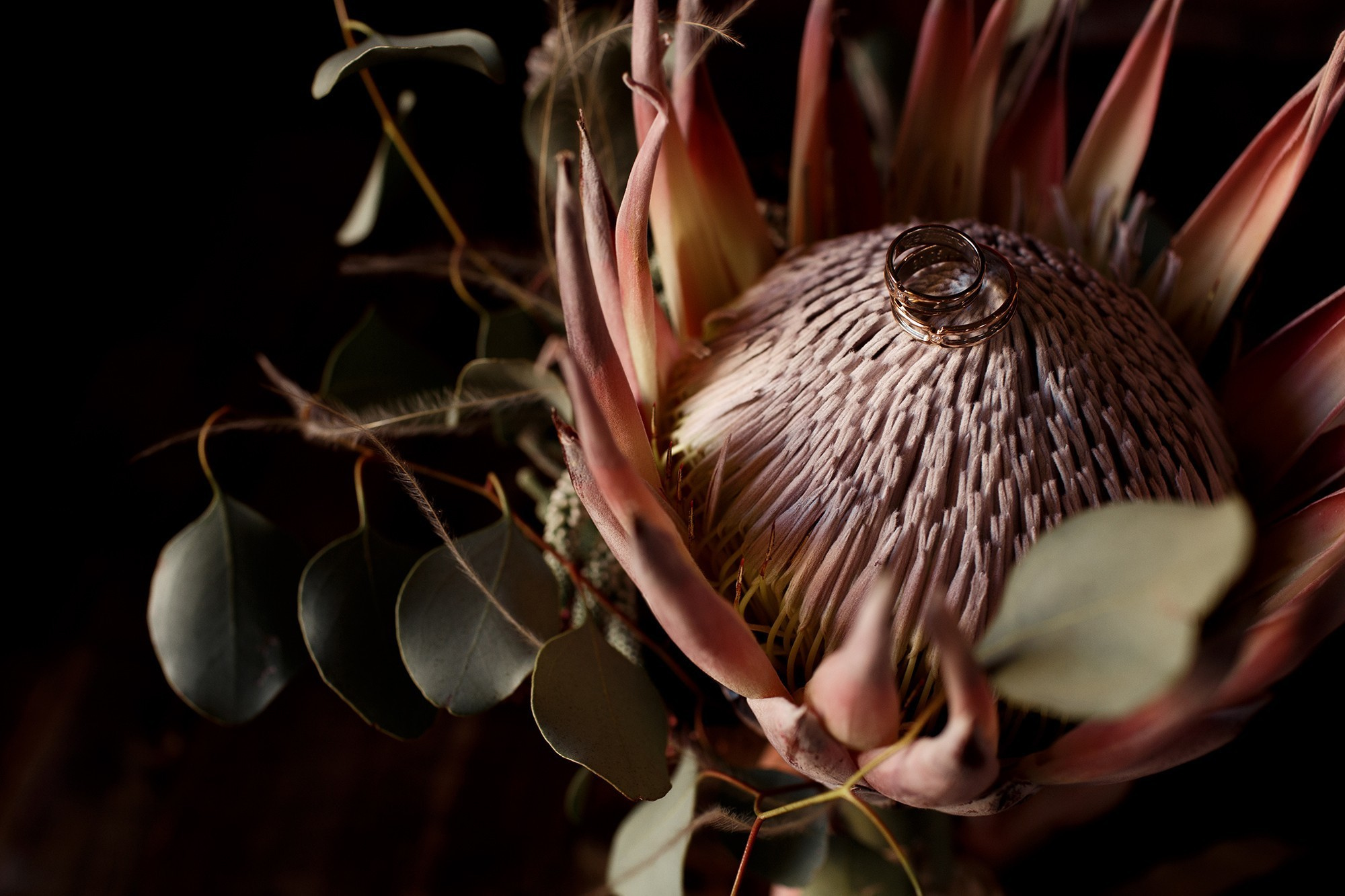 Даша & Андрей. Фотограф Чугунов Александр