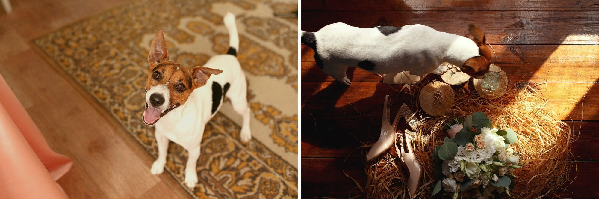 Инна & Руслан. Фотограф Чугунов Александр