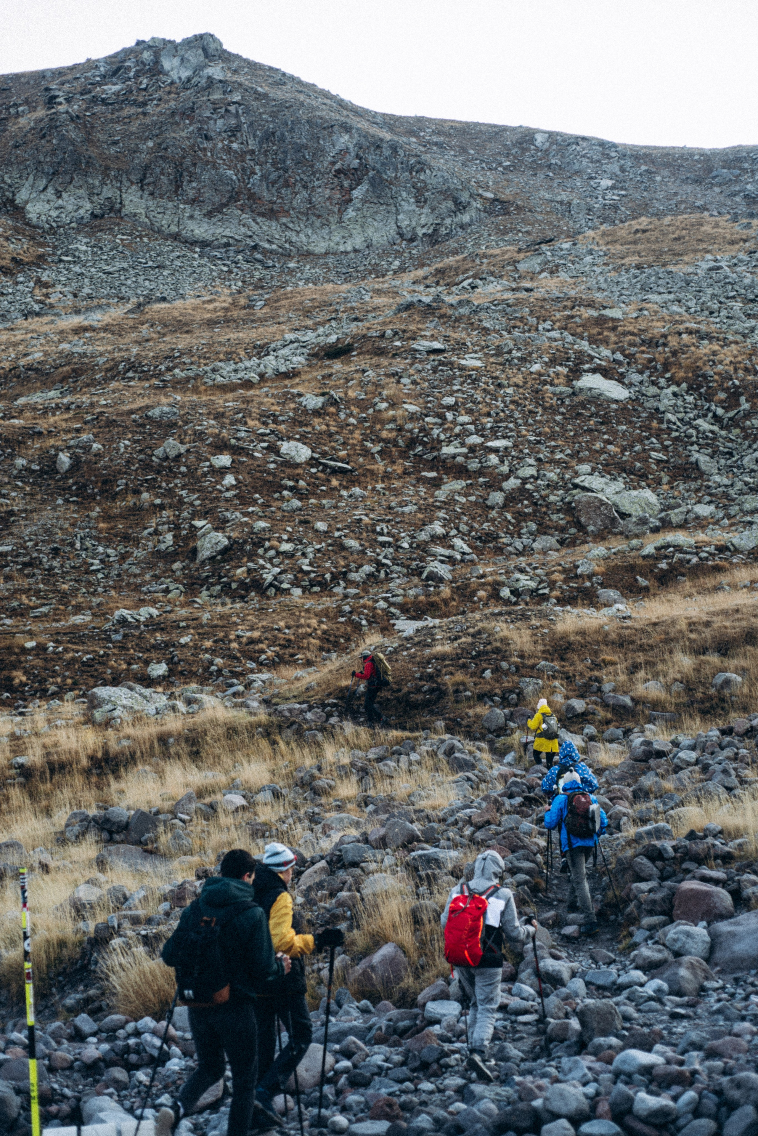 Казбеги, Грузия 🇬🇪 «PVD Club». Anita_photo