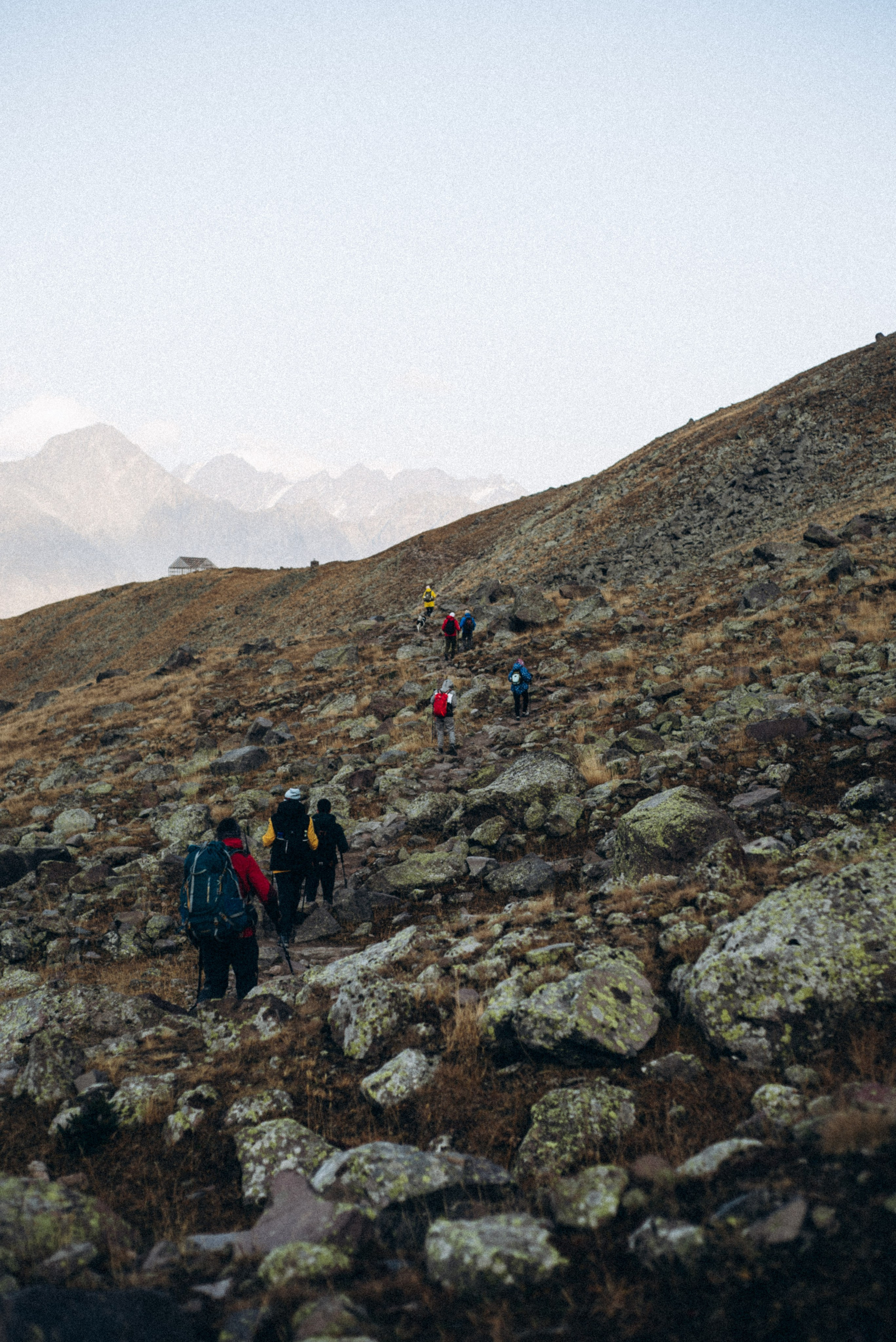 Казбеги, Грузия 🇬🇪 «PVD Club». Anita_photo