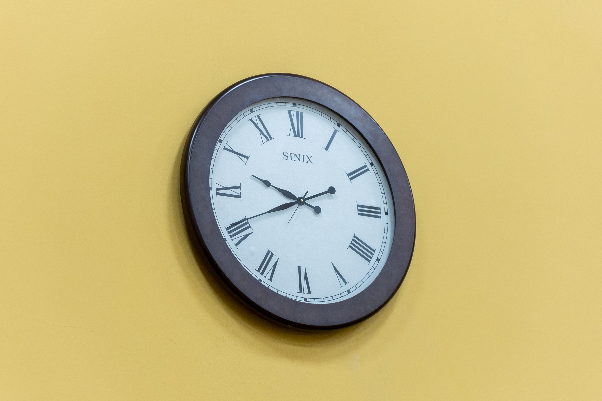 ЮрФак — 105 лет. Владислав Волков | Фотография и видеосъемка в Воронеже