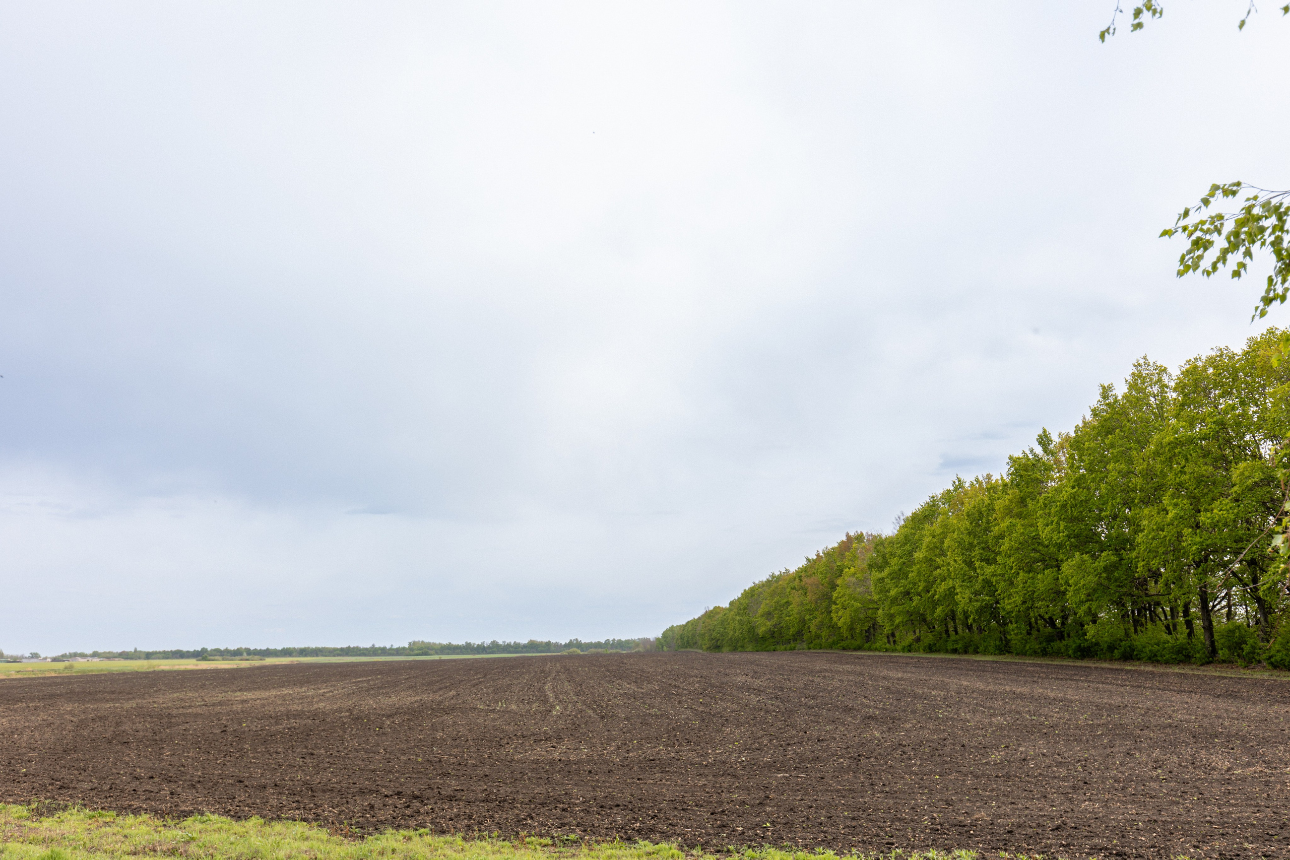 Приусадебный участок. Владислав Волков | Фотография и видеосъемка в Воронеже