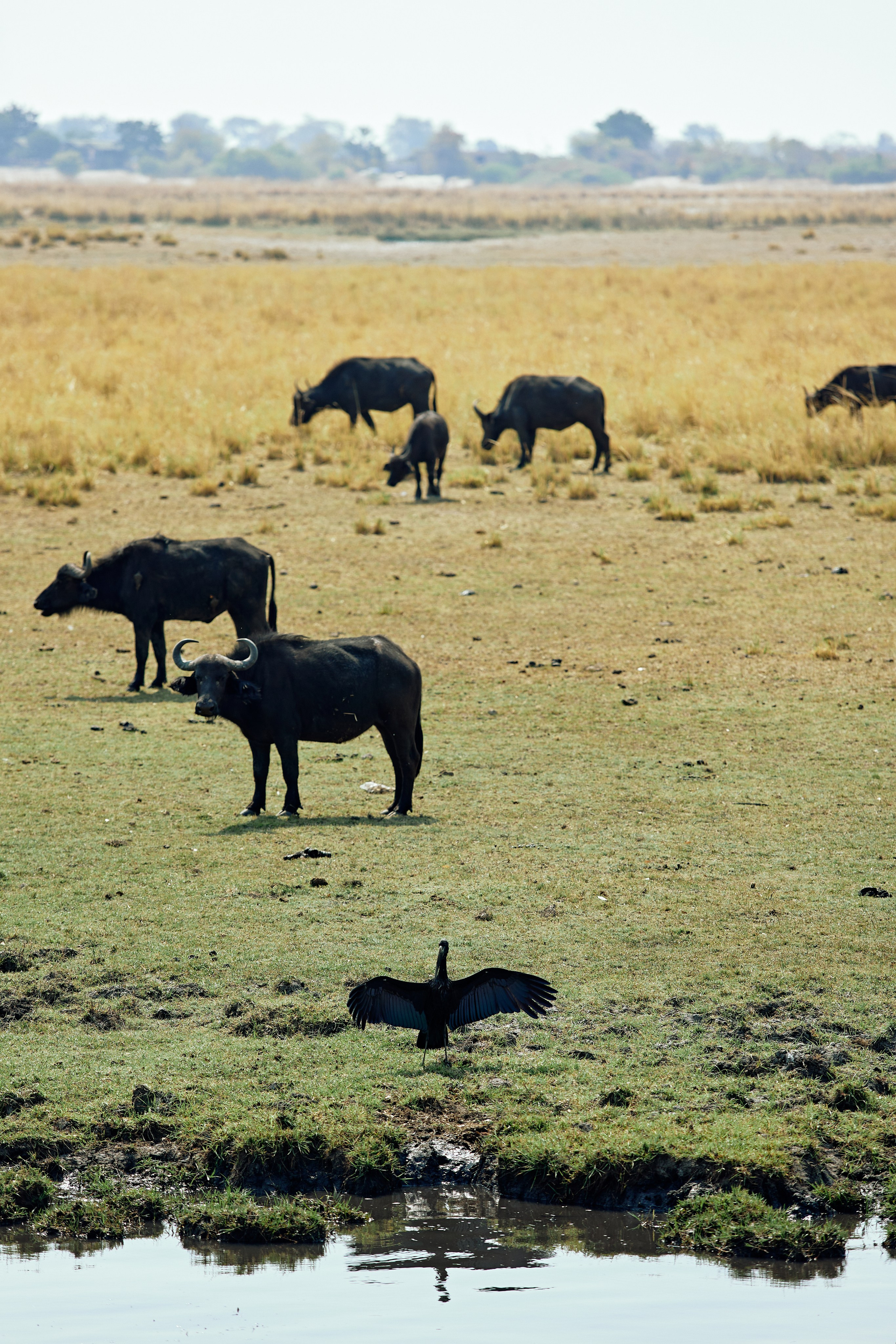 SOUTH AFRICA EMBA 38. Дмитрий Мазуркевич: Профессиональный Репортажный Фотограф