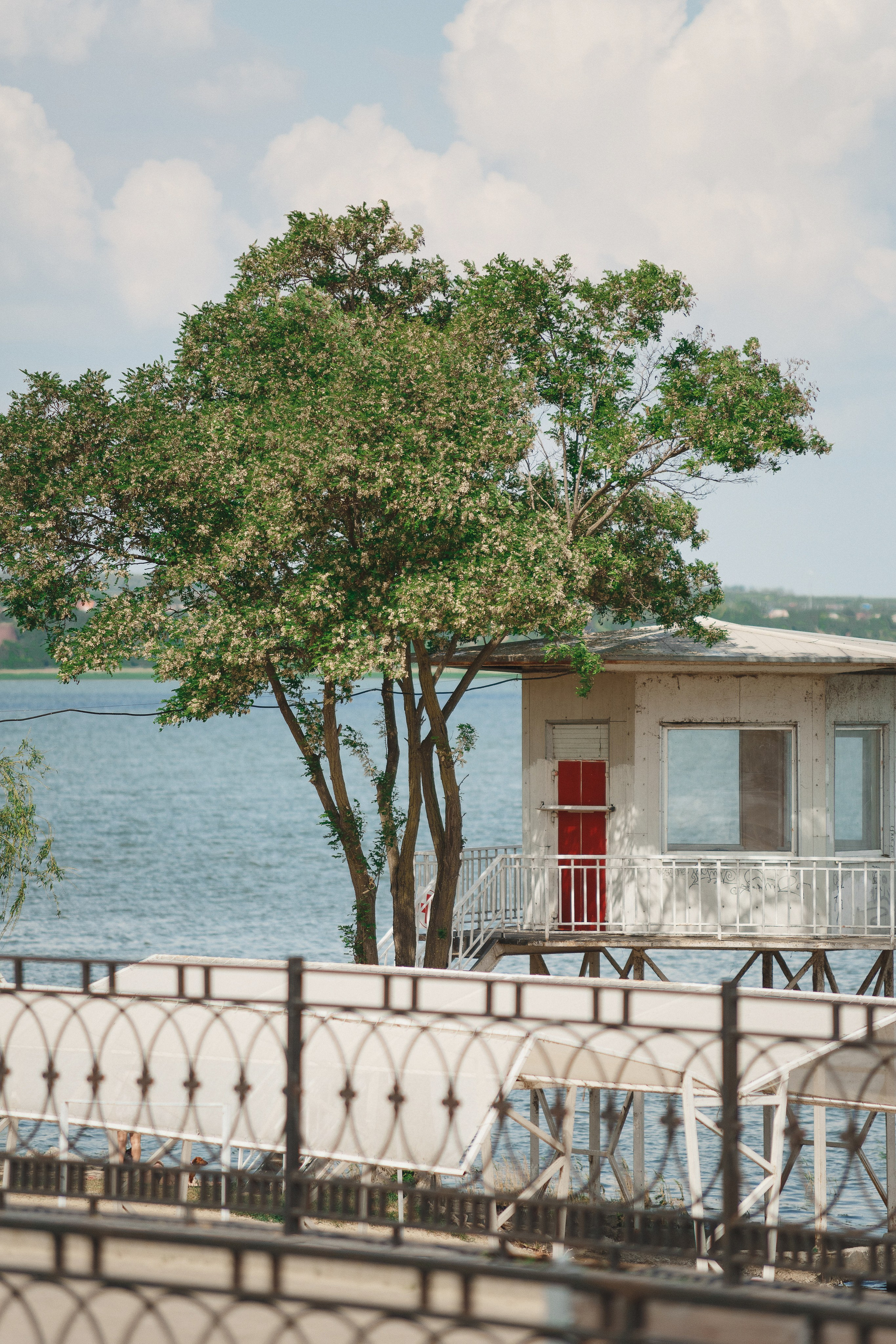 Под знаменем Амбрелла: Футбольный турнир в Приазовье Таганрога. Свадебный и семейный фотограф в Таганроге Бакарюк Антон