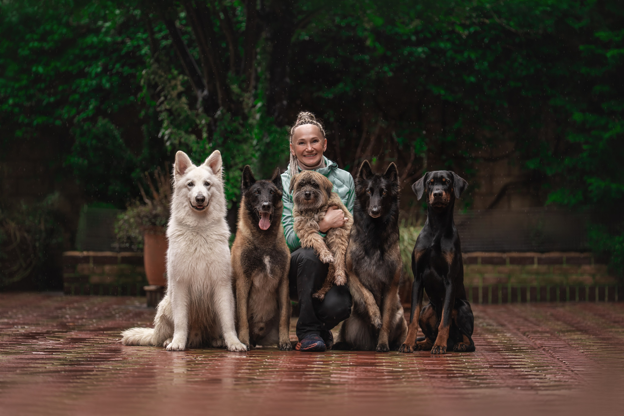 фотограф краснодар сочи , фотосессия в Краснодаре , фотограф анималист , фото с собаками , фото с животными 