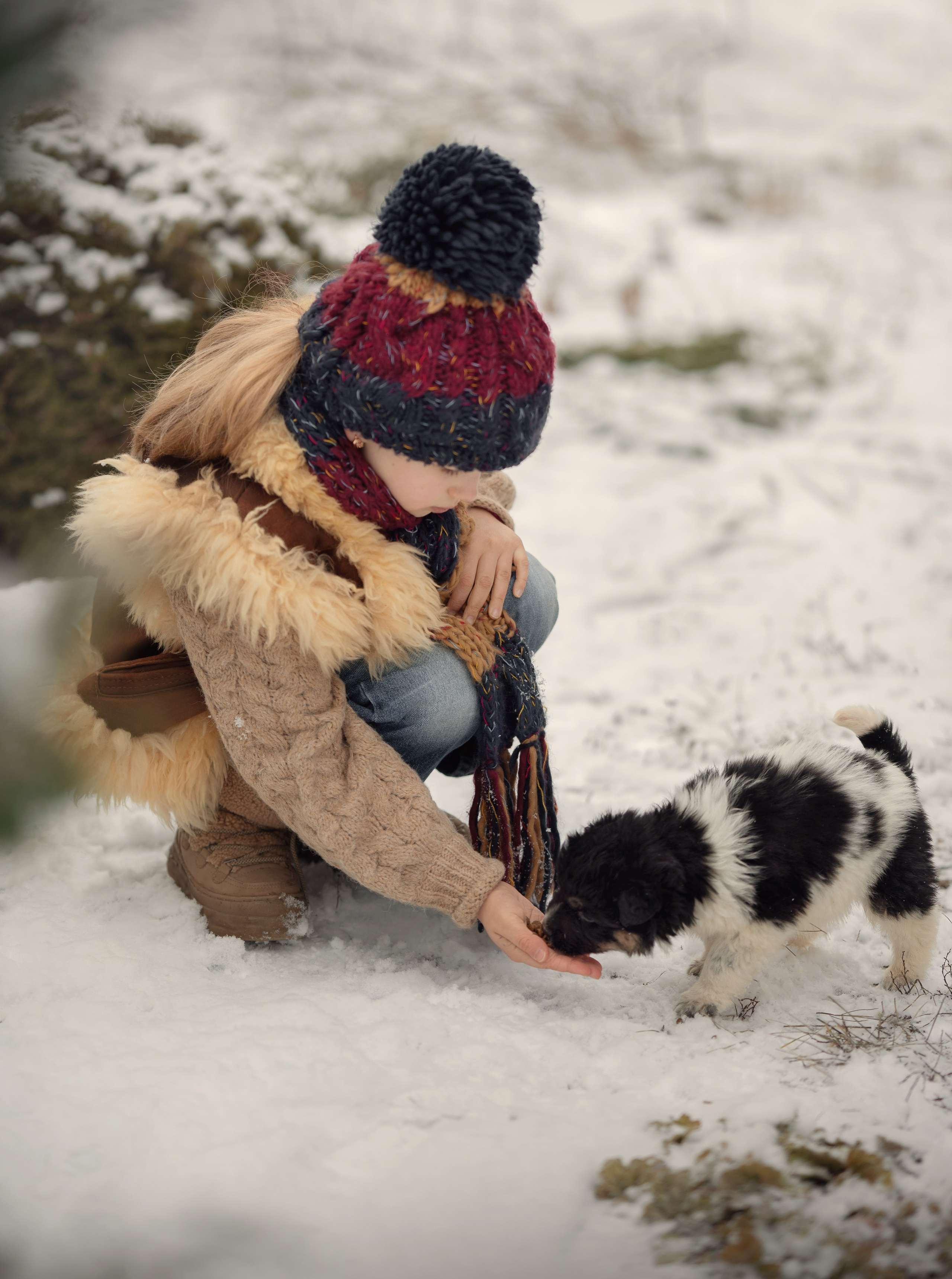 Пушистые друзья. Детский и семейный фотограф