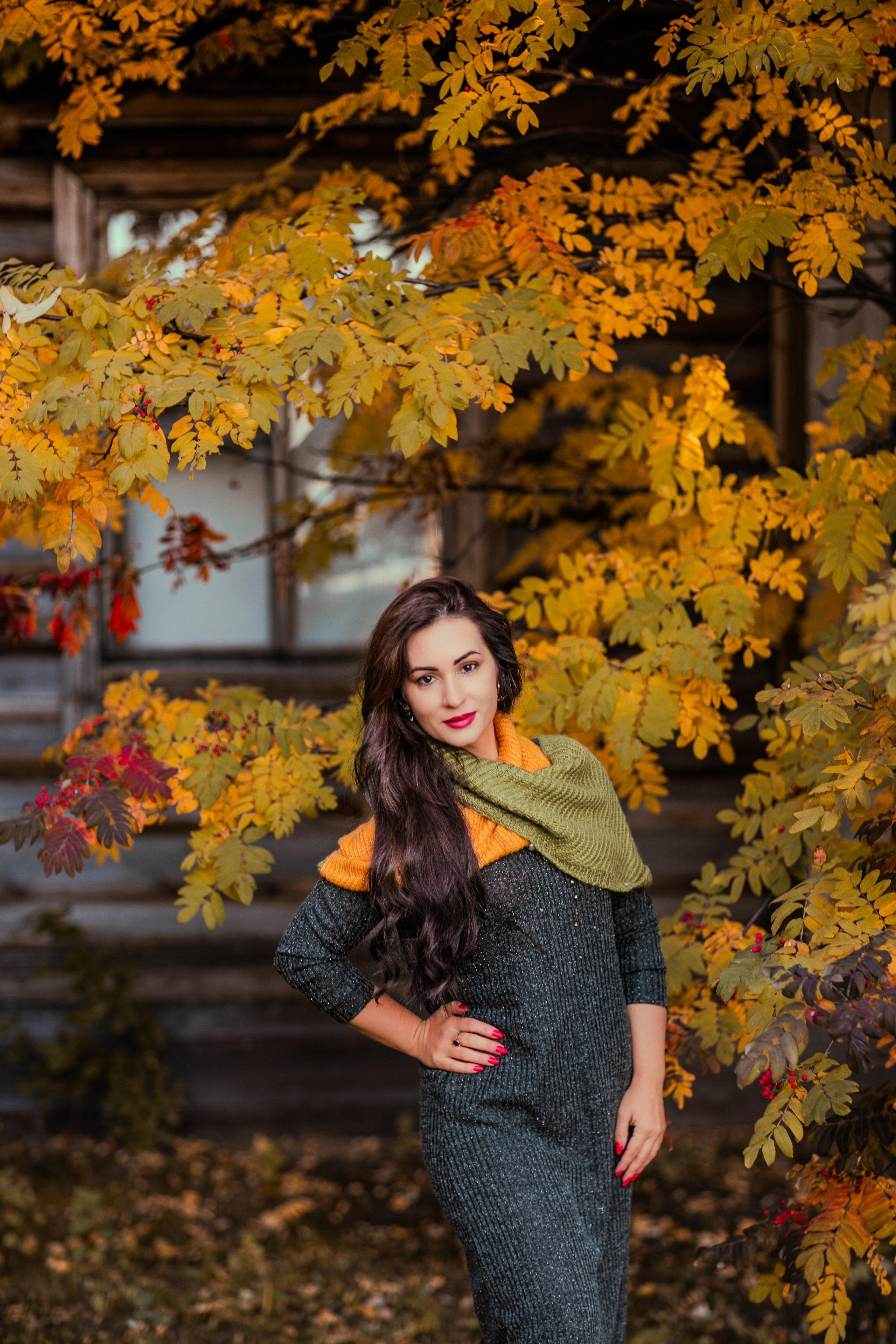 Багрец и золото. Фотограф Елена Вишневская (Ушакова) Нефтеюганск, Сургут, Тюмень