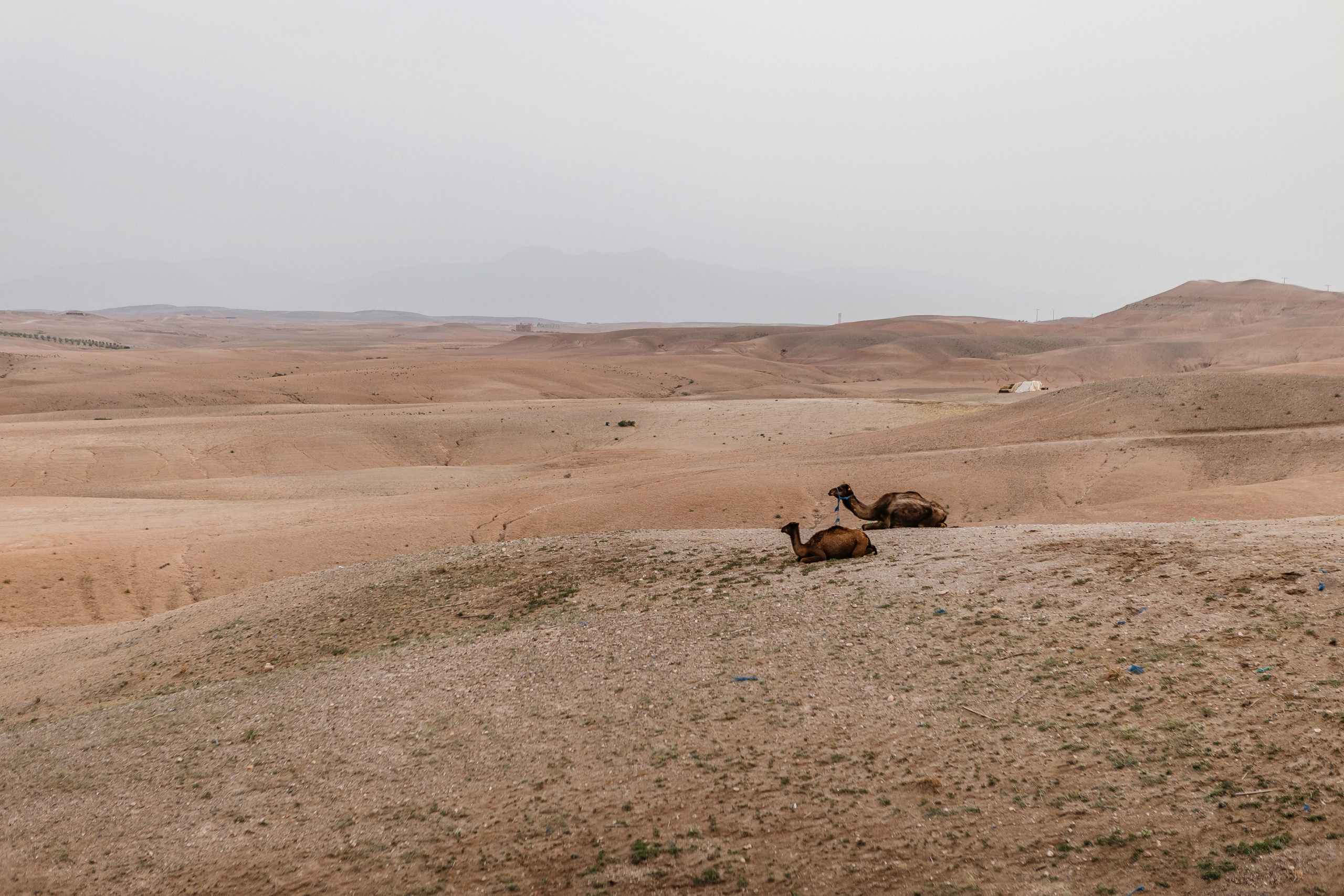 Марокко Альфа Банк. Фотограф в Москве Дмитрий Жарков