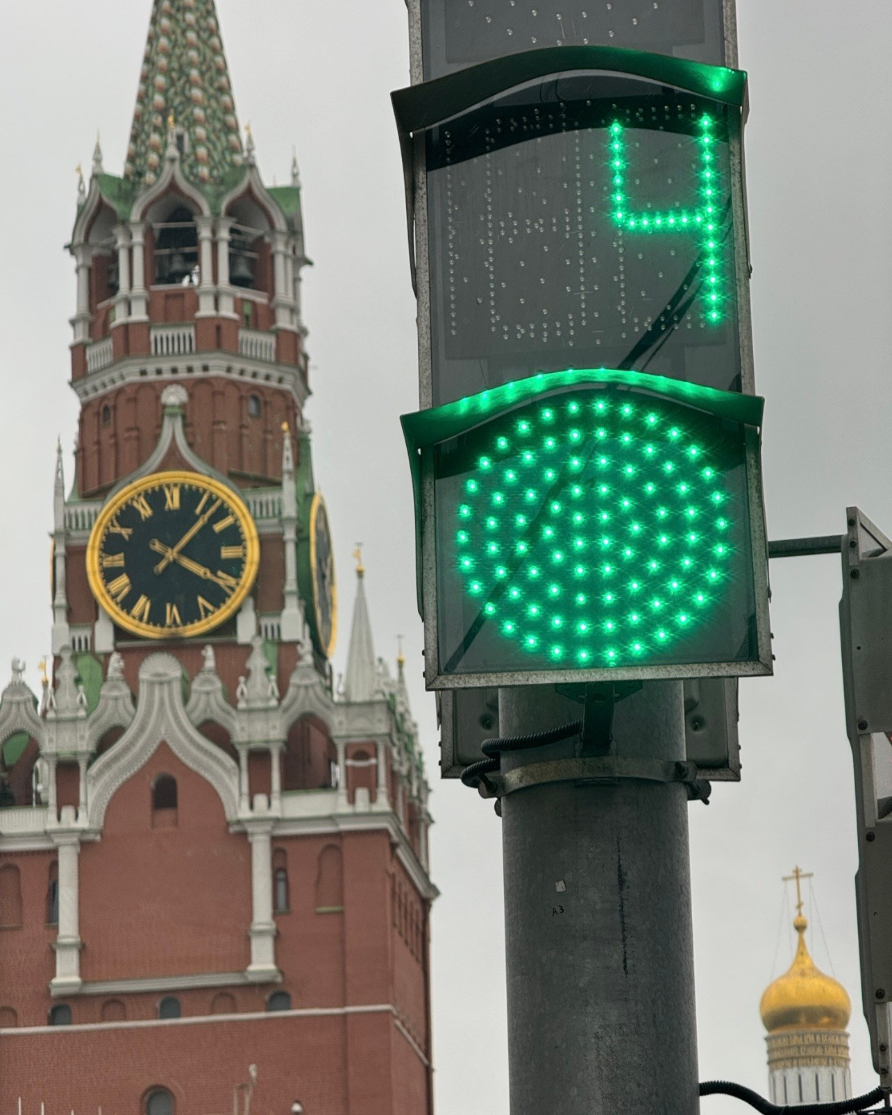 LарПак #W&B. Лапина I фотограф
