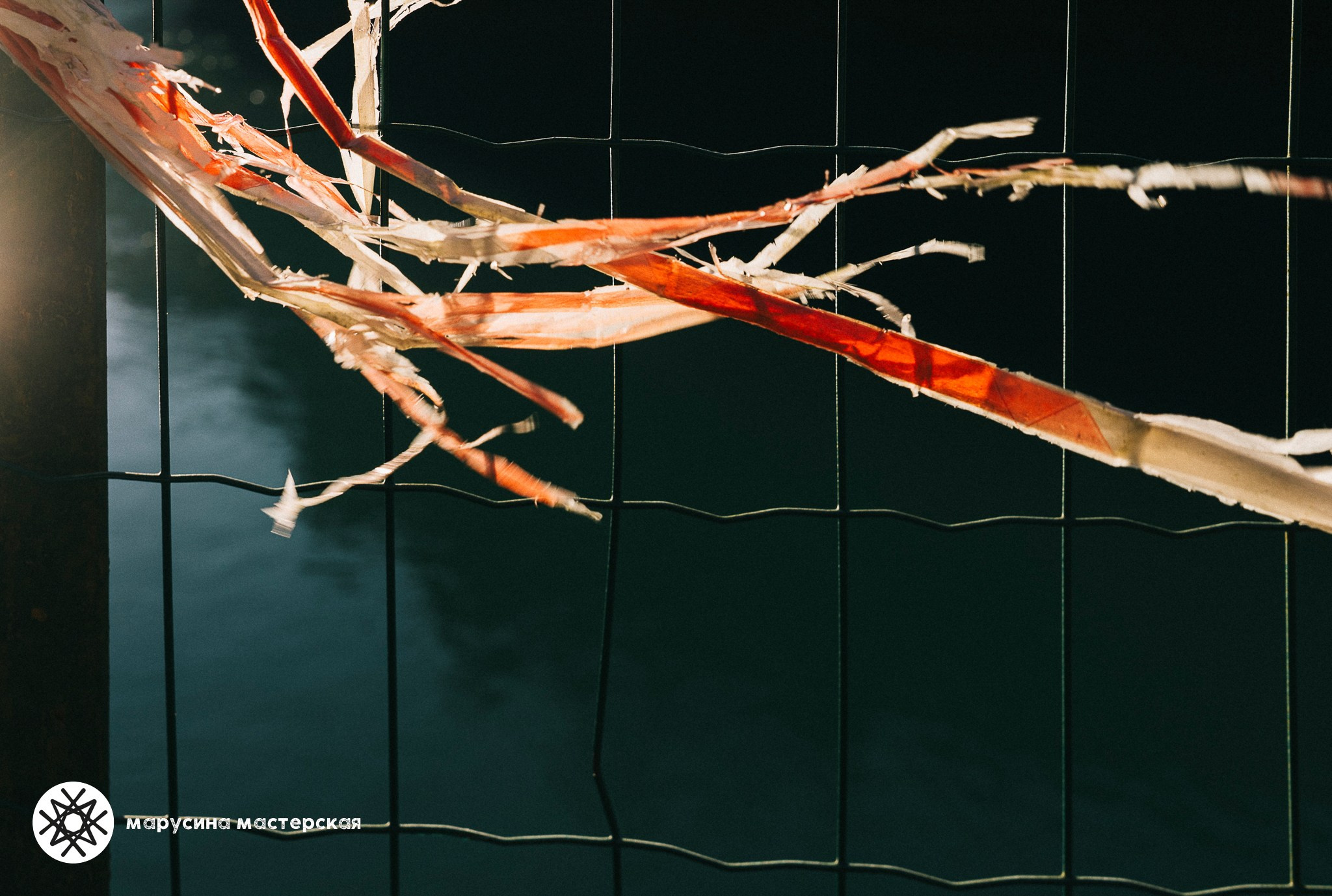 фотография из серии зимней творческой практики