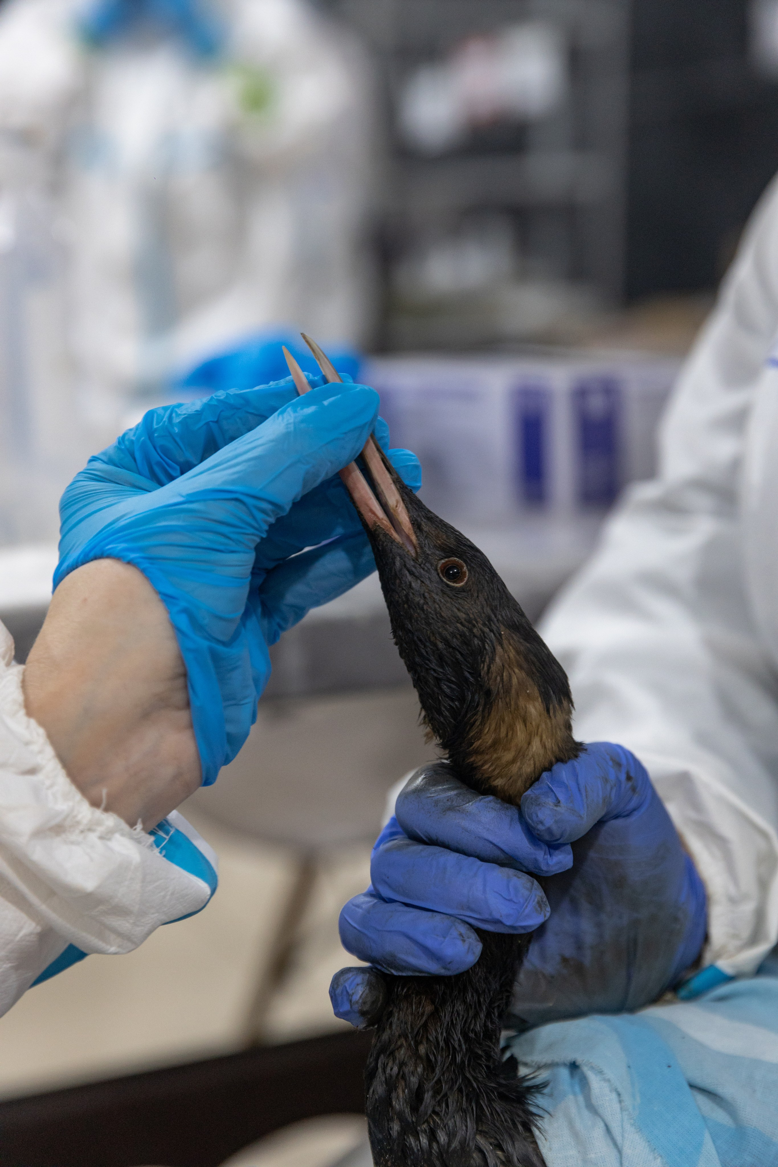 Anapa. Фотограф Маша Новодережкина