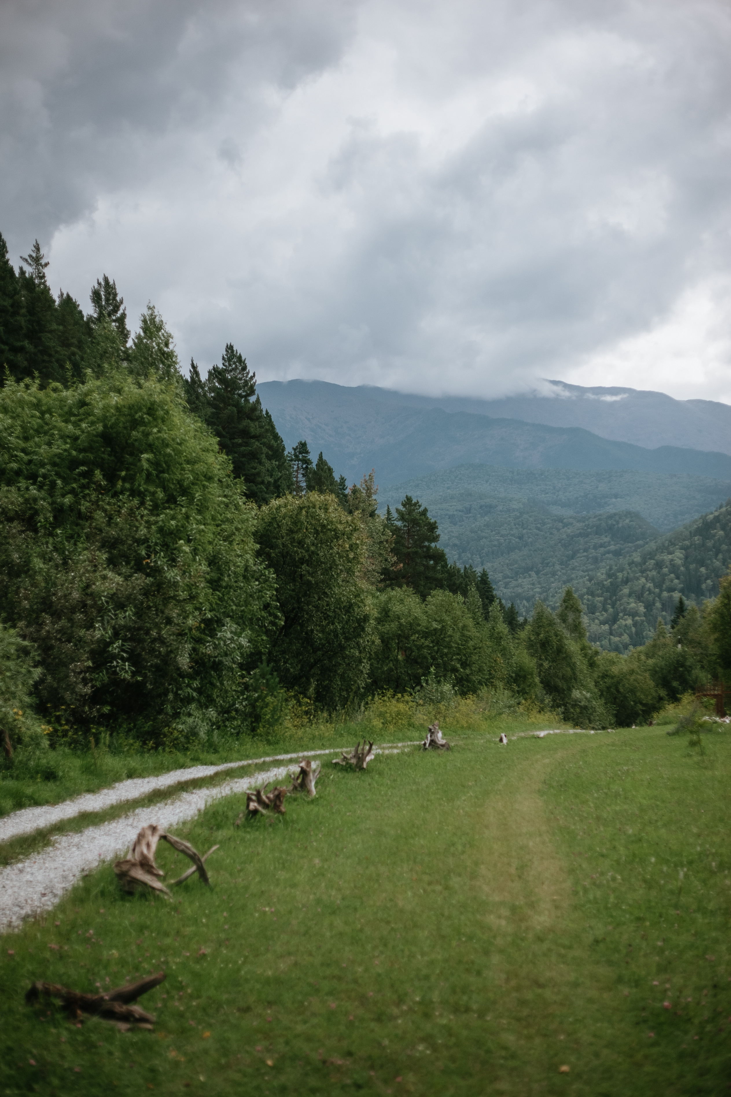 Сергей и Лика. Фотограф Москва, Санкт-Петербург, Абакан