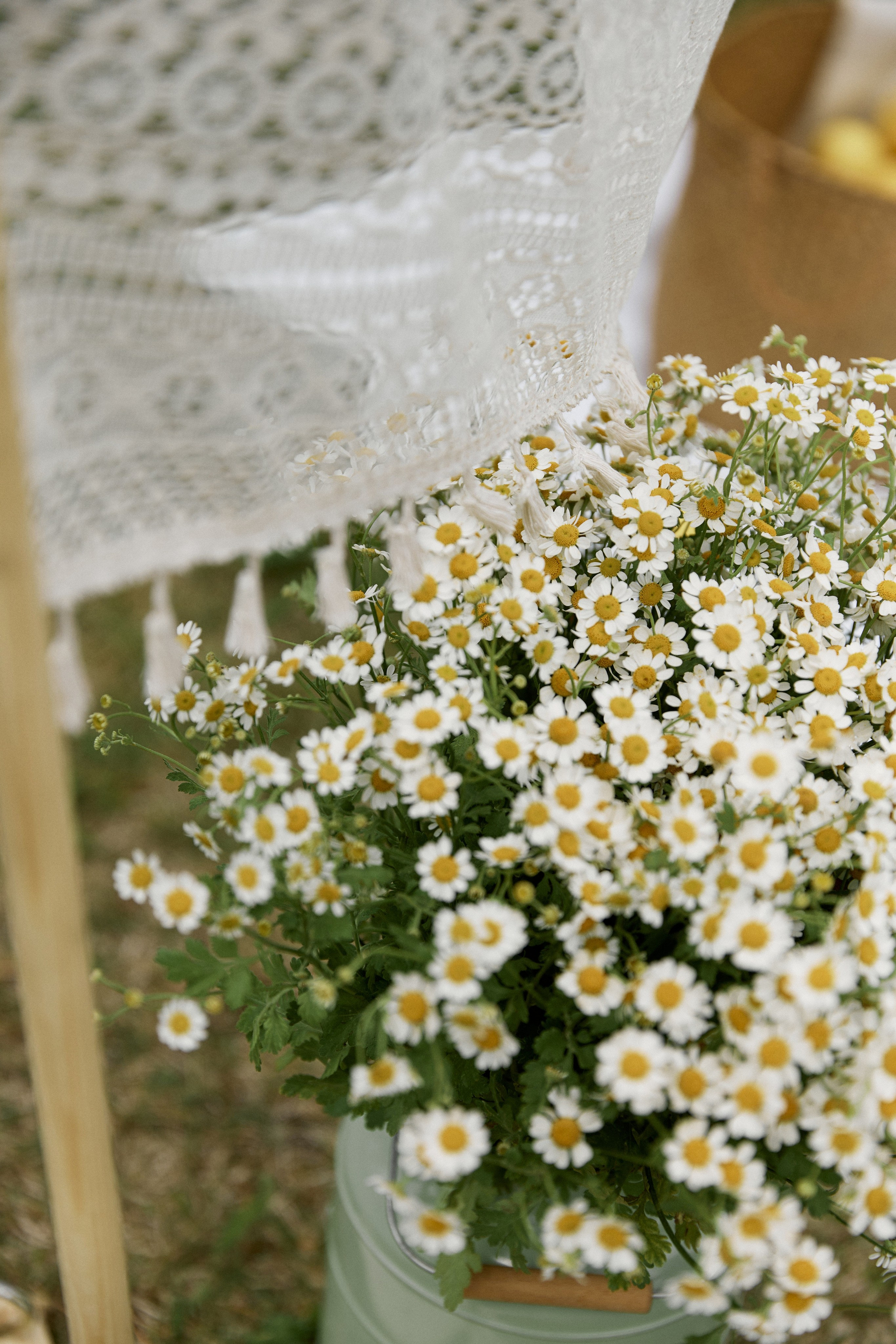 Посмотреть серию. Свадебный и семейный фотограф в Красноярске Тряпчев Павел