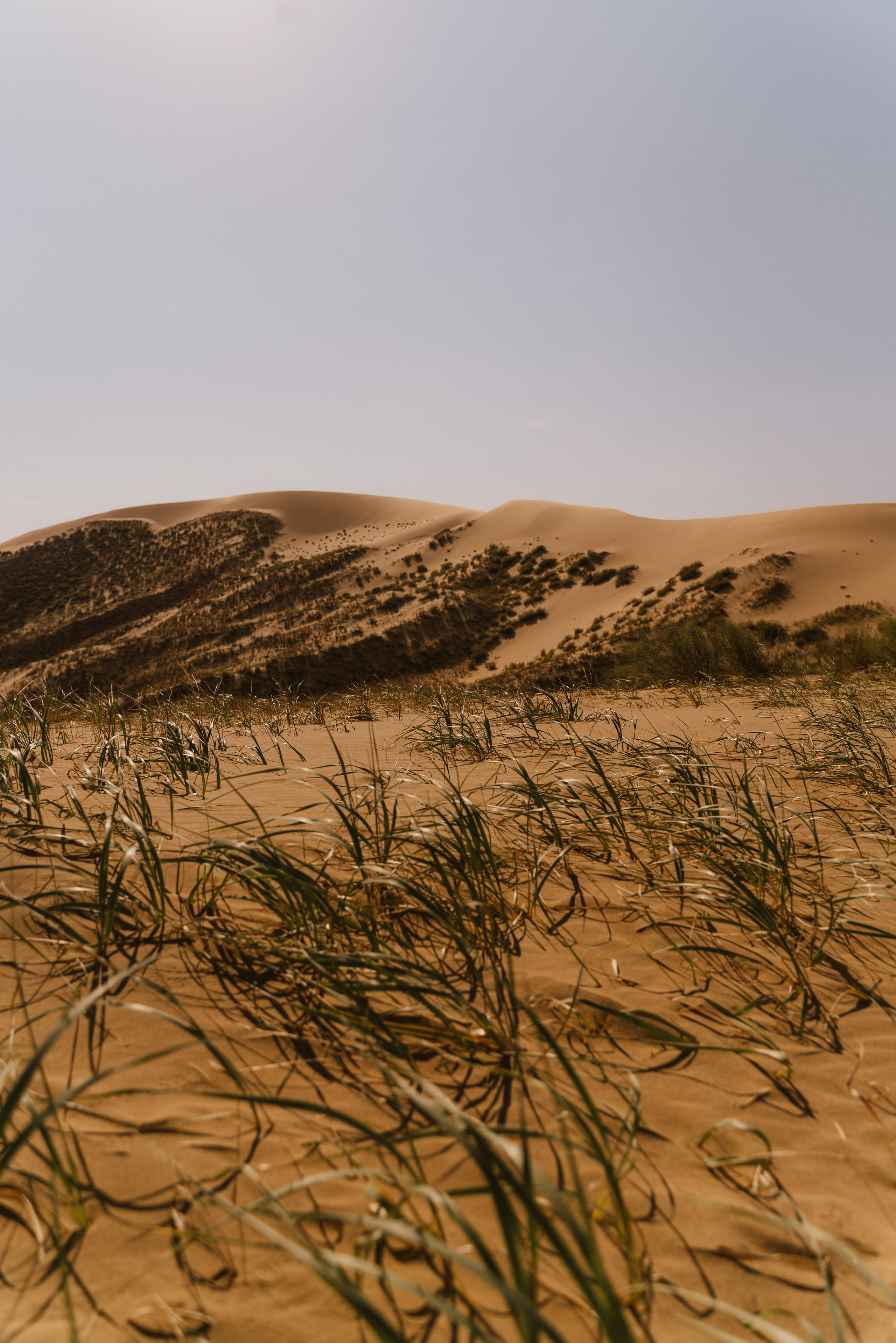 Пейзаж. Фотограф Кантемир Бараов