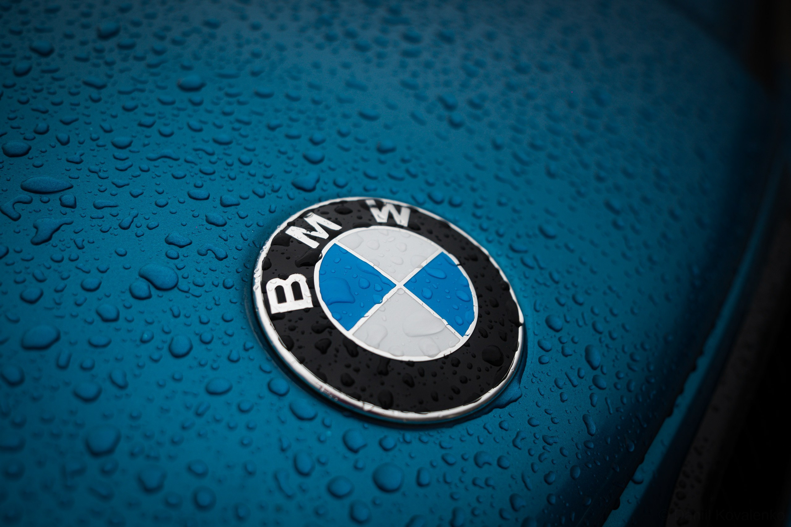 Фестиваль движение Екатеринбург 2024. Репортажный фотограф Даниил Коваленко