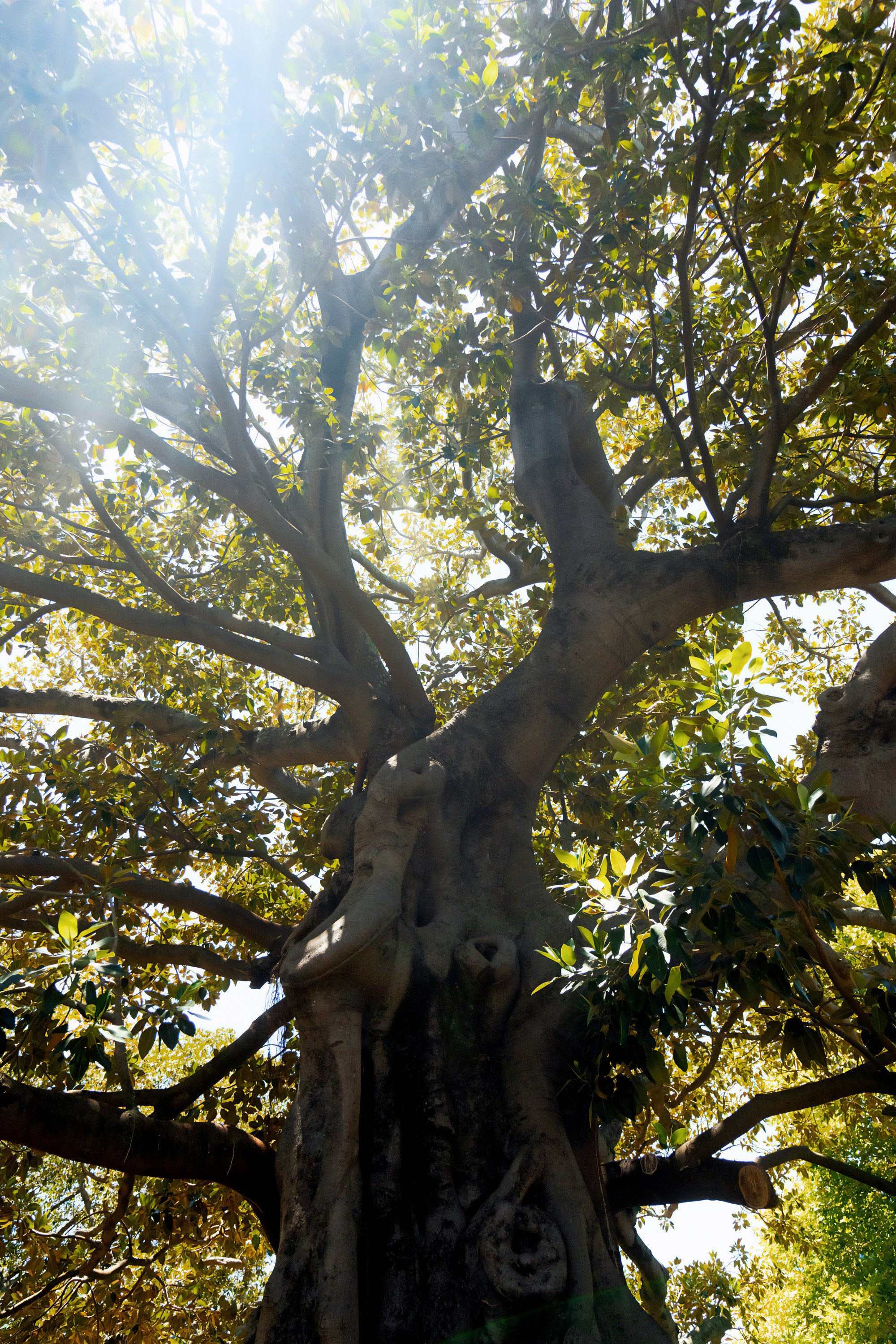 Австралия. Фотограф в Хабаровске. Фотография за 24 часа