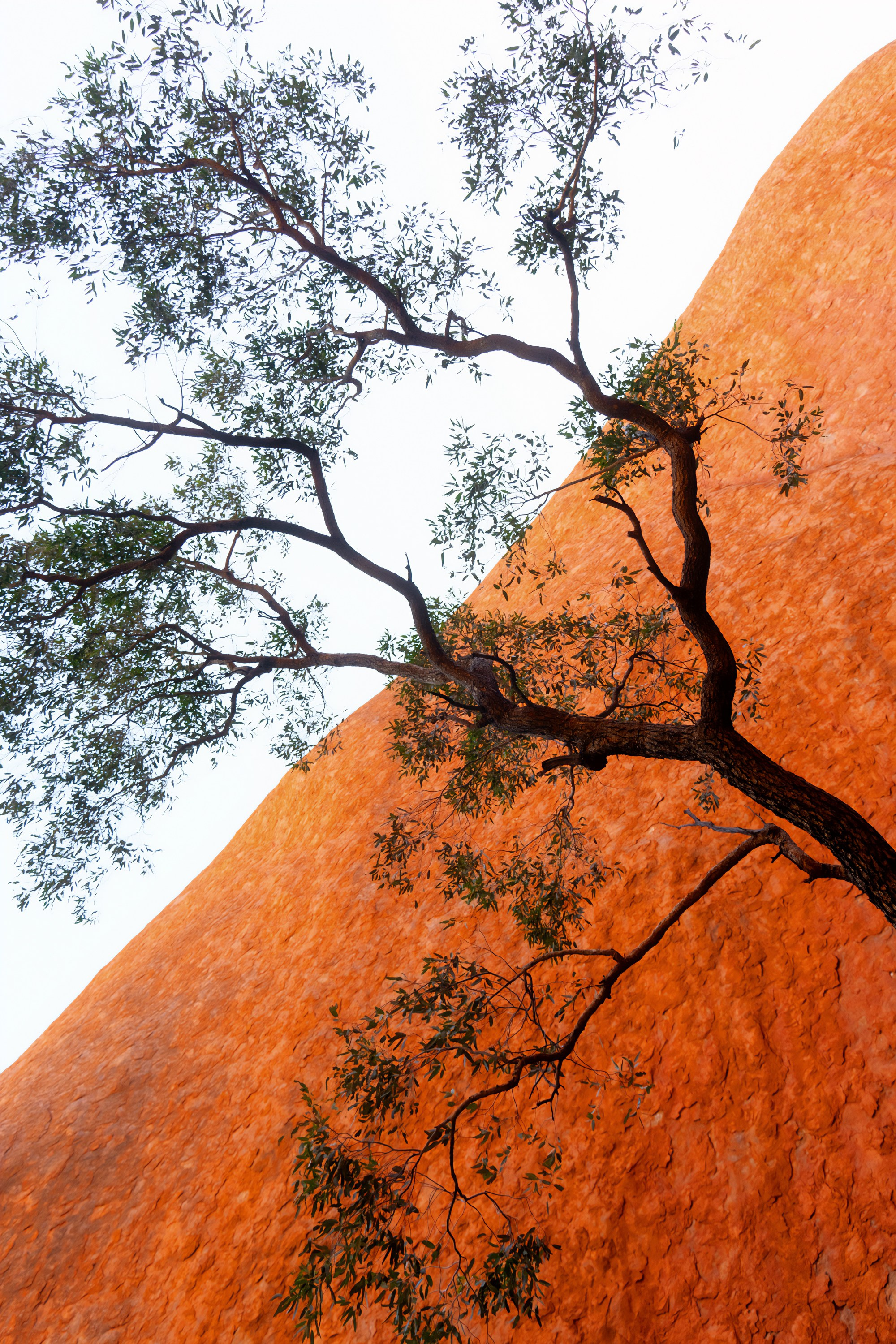 Путешествия. Фотограф в Хабаровске. Фотография за 24 часа