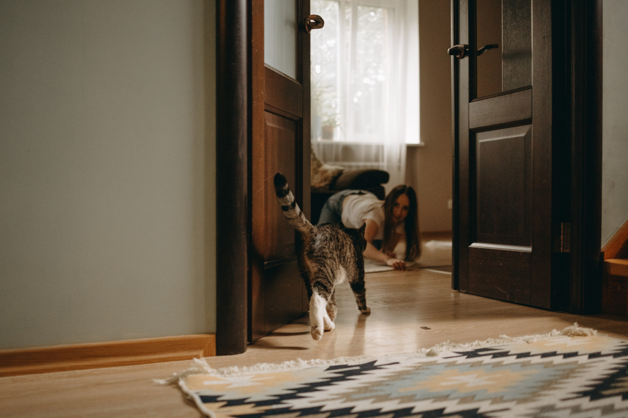 Софа и ее хвостики. Фотограф — Анималист | Санкт-Петербург